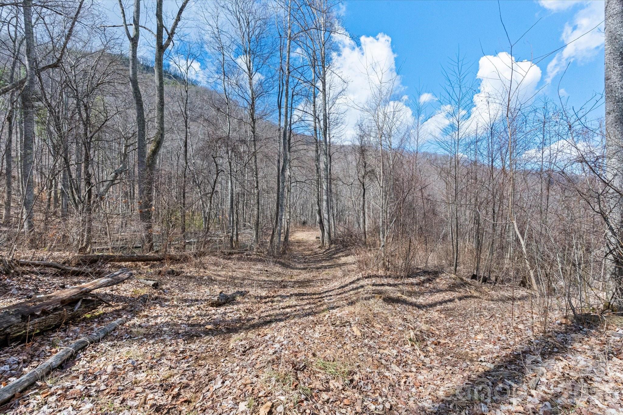140 Wild Mountain Lane Barnardsville NC 28709