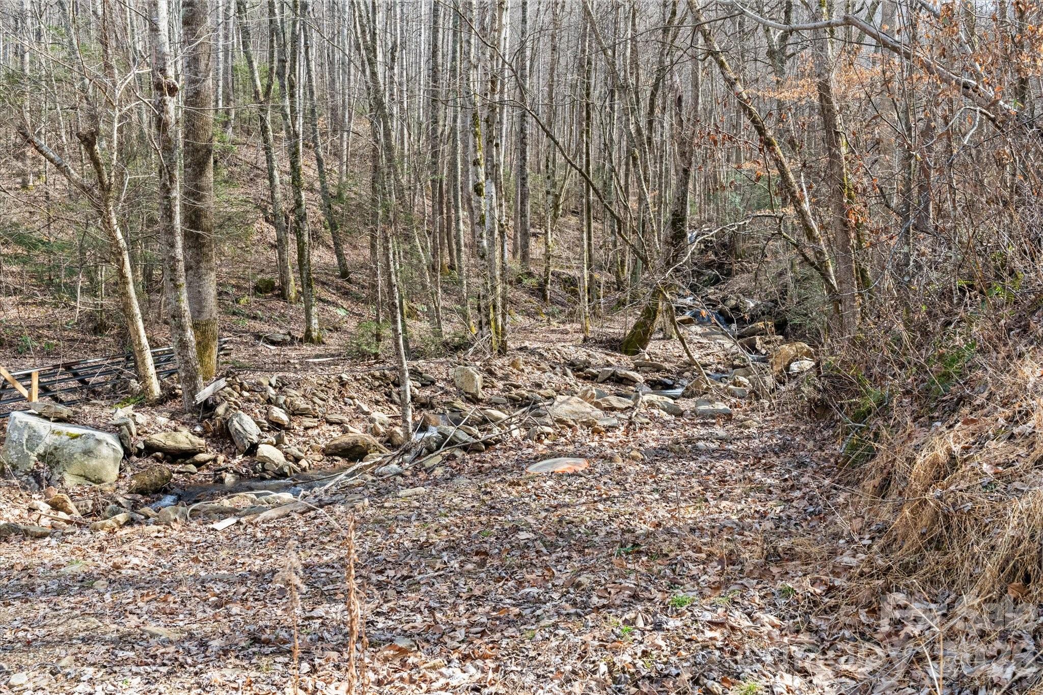 140 Wild Mountain Lane Barnardsville NC 28709