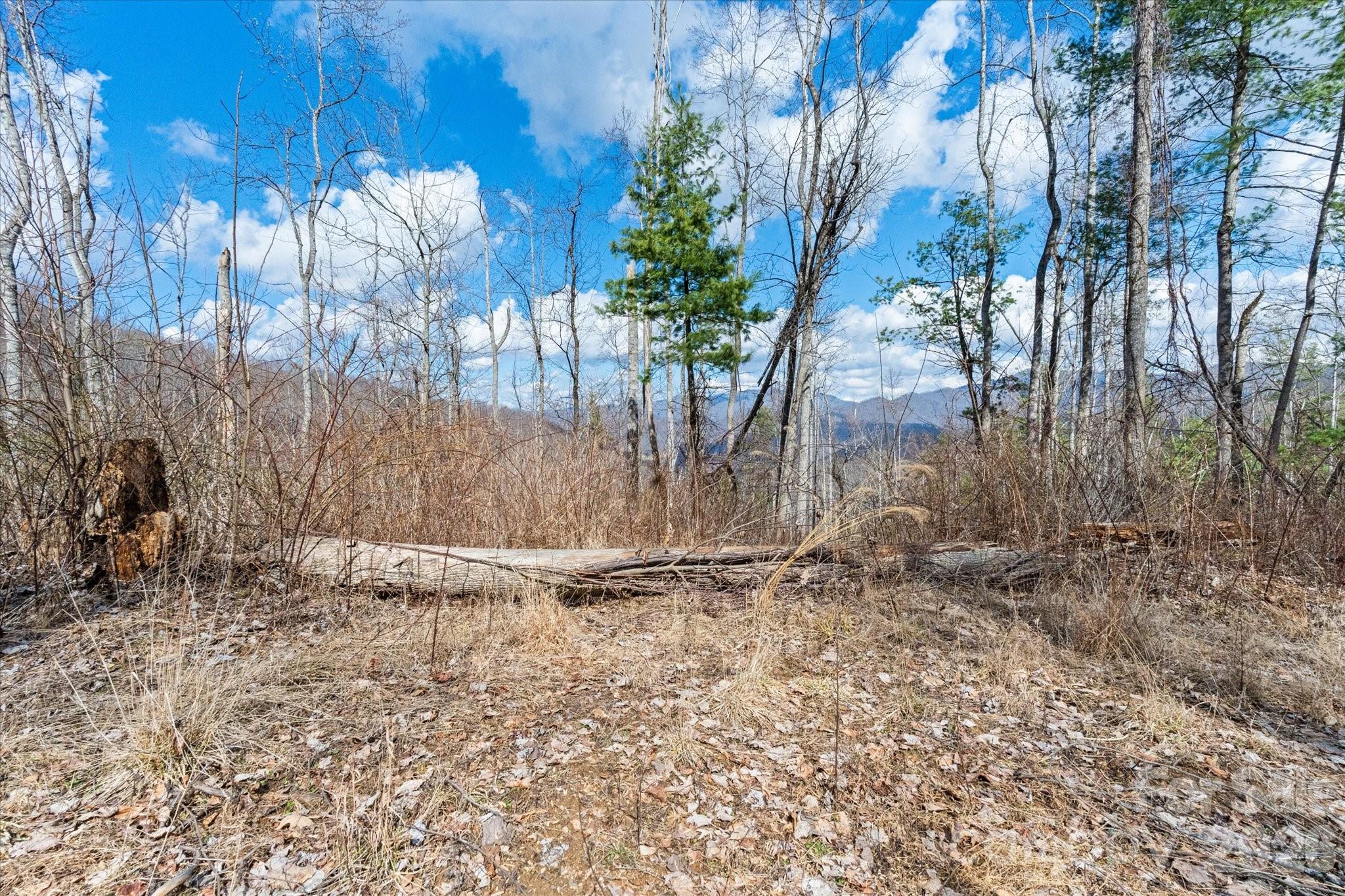 140 Wild Mountain Lane Barnardsville NC 28709