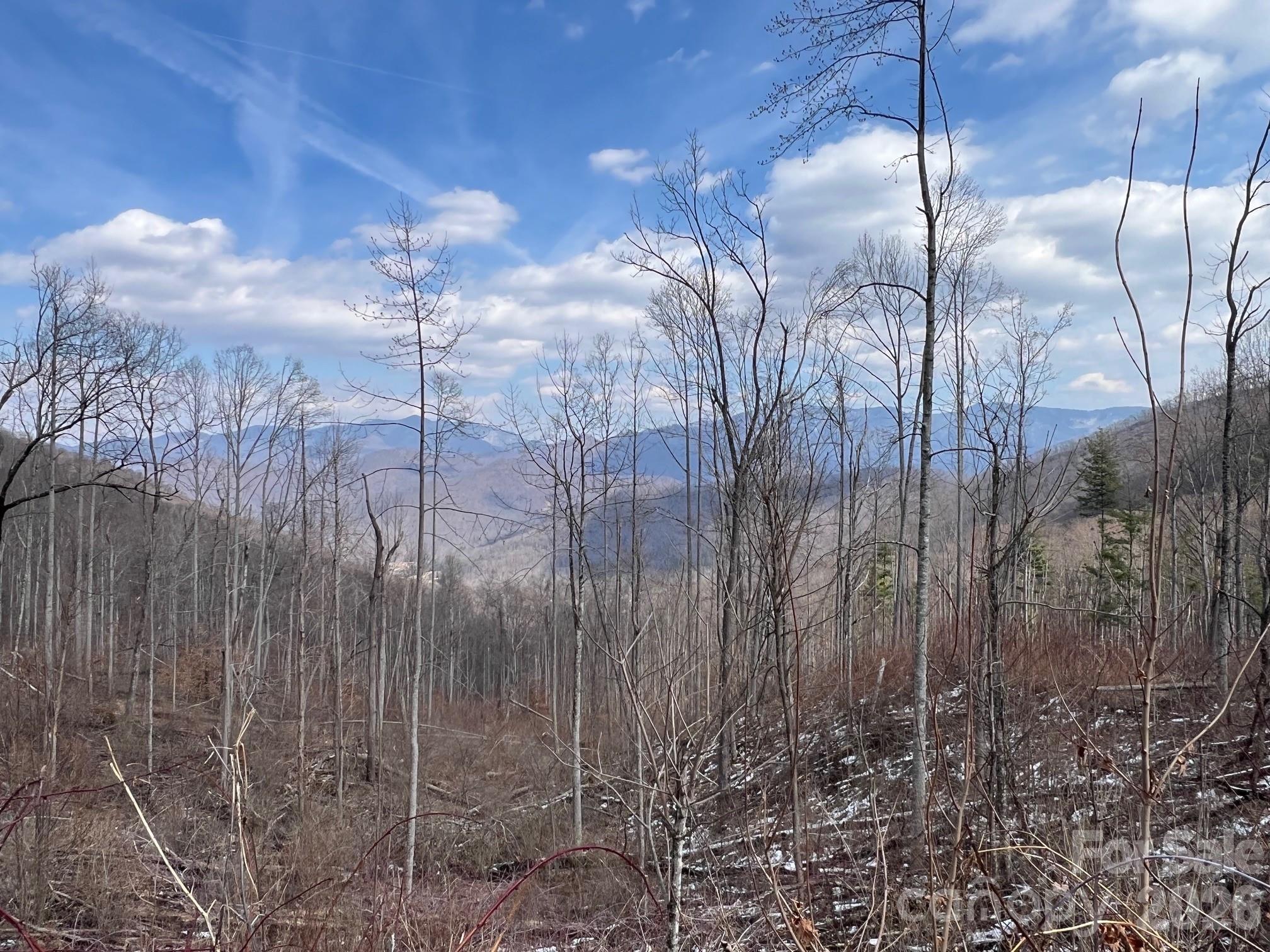 140 Wild Mountain Lane Barnardsville NC 28709