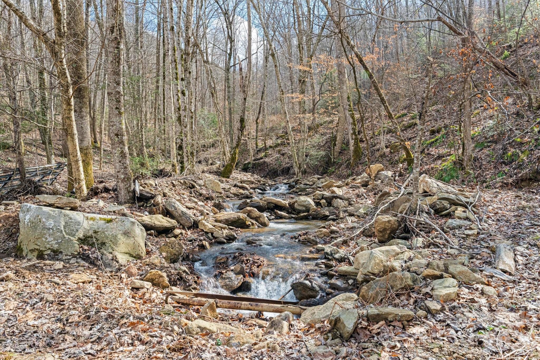 140 Wild Mountain Lane Barnardsville NC 28709
