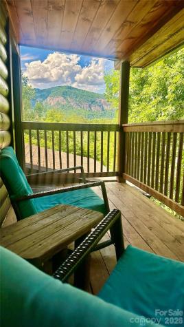 517 Luther Burbank Drive Lake Lure NC 28746
