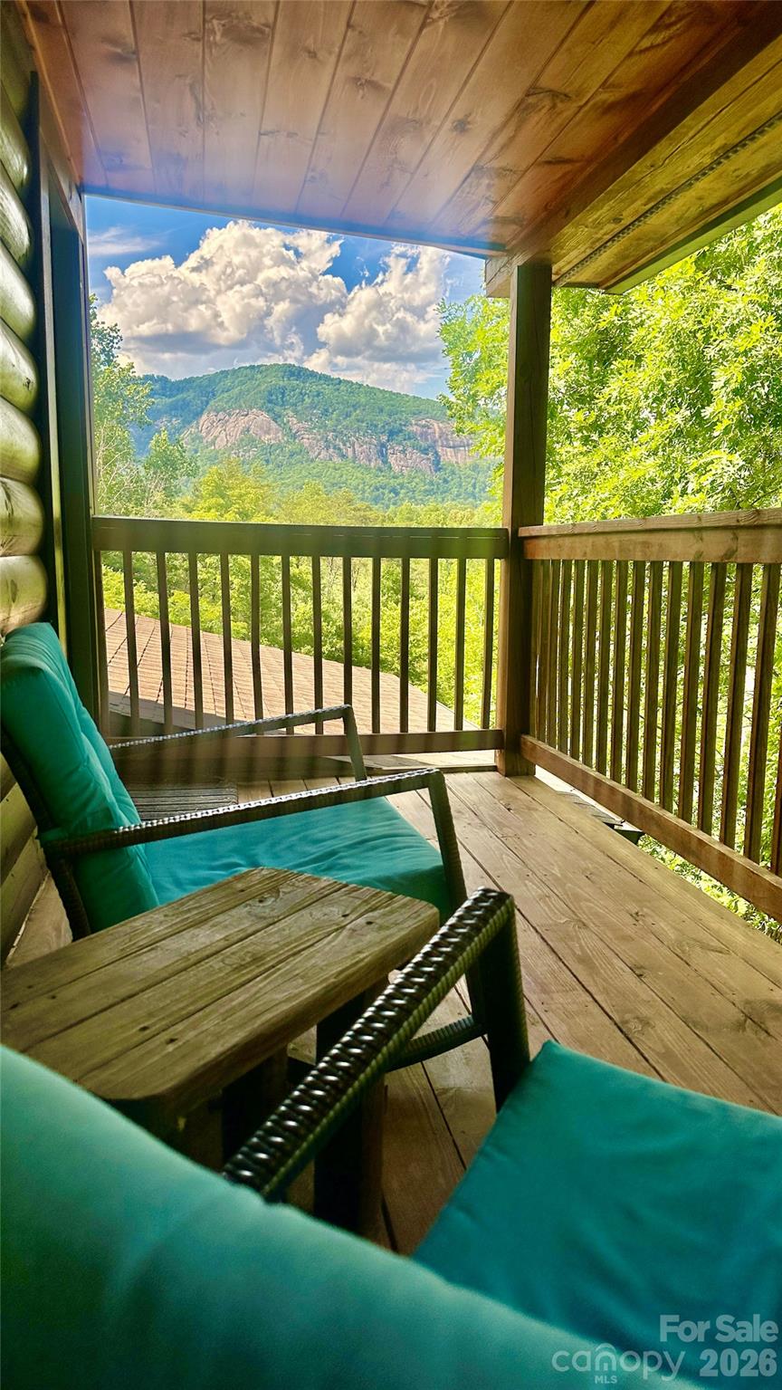 517 Luther Burbank Drive Lake Lure NC 28746