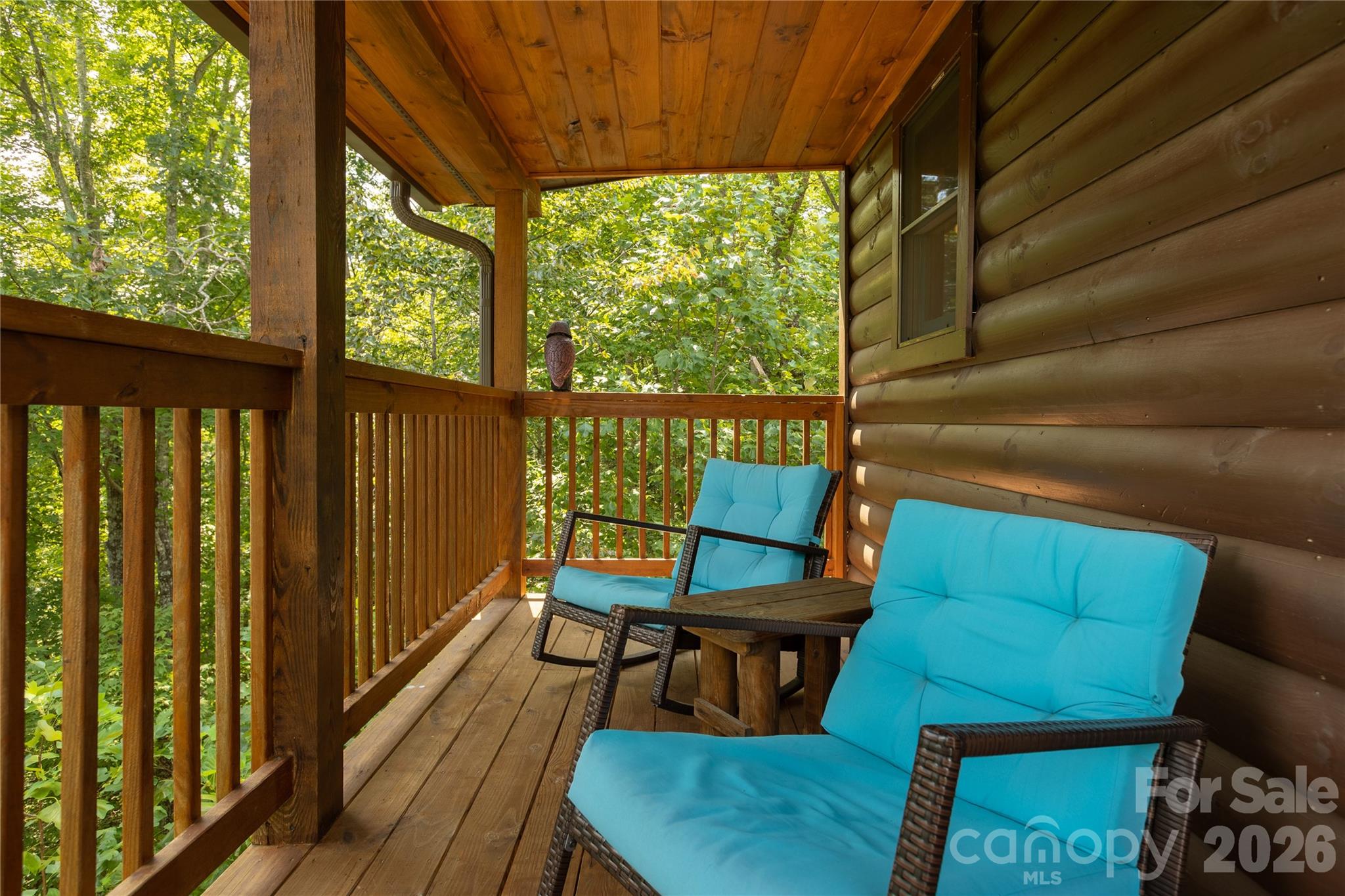 517 Luther Burbank Drive Lake Lure NC 28746