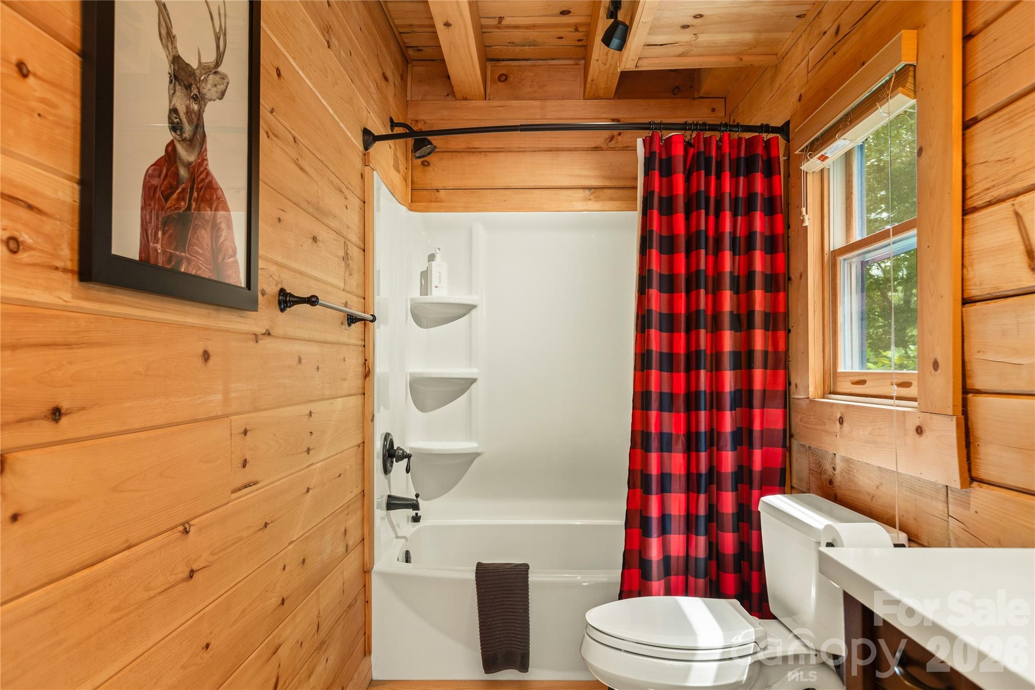 517 Luther Burbank Drive Lake Lure NC 28746