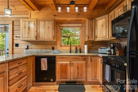 517 Luther Burbank Drive Lake Lure NC 28746