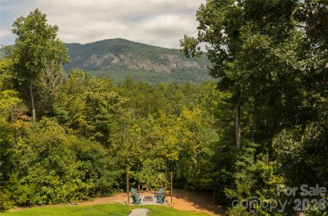 517 Luther Burbank Drive Lake Lure NC 28746