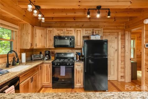 517 Luther Burbank Drive Lake Lure NC 28746