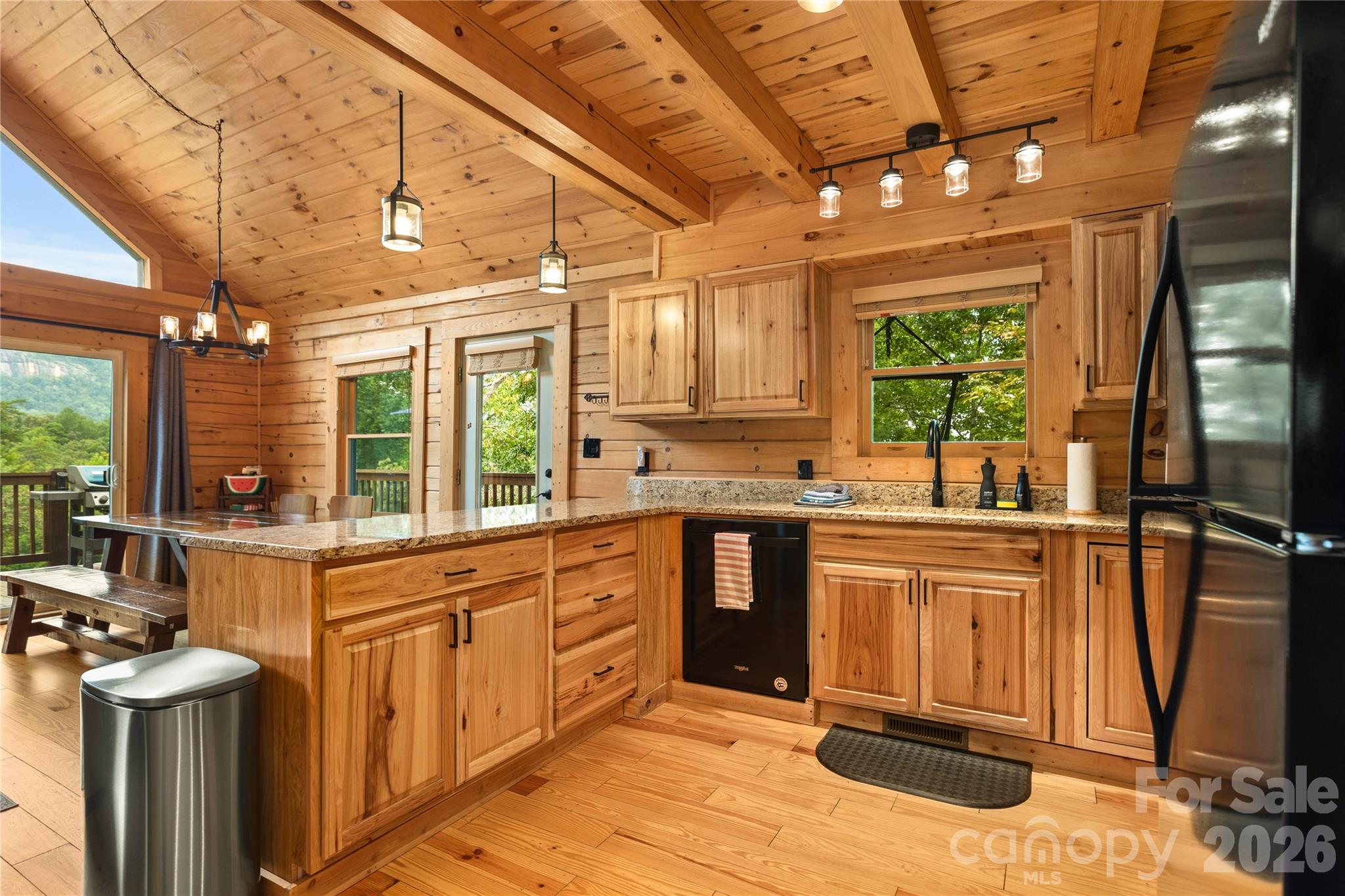 517 Luther Burbank Drive Lake Lure NC 28746