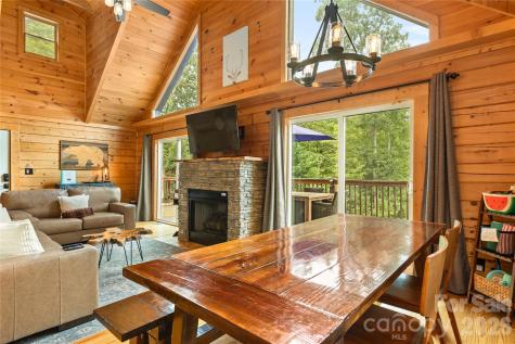 517 Luther Burbank Drive Lake Lure NC 28746