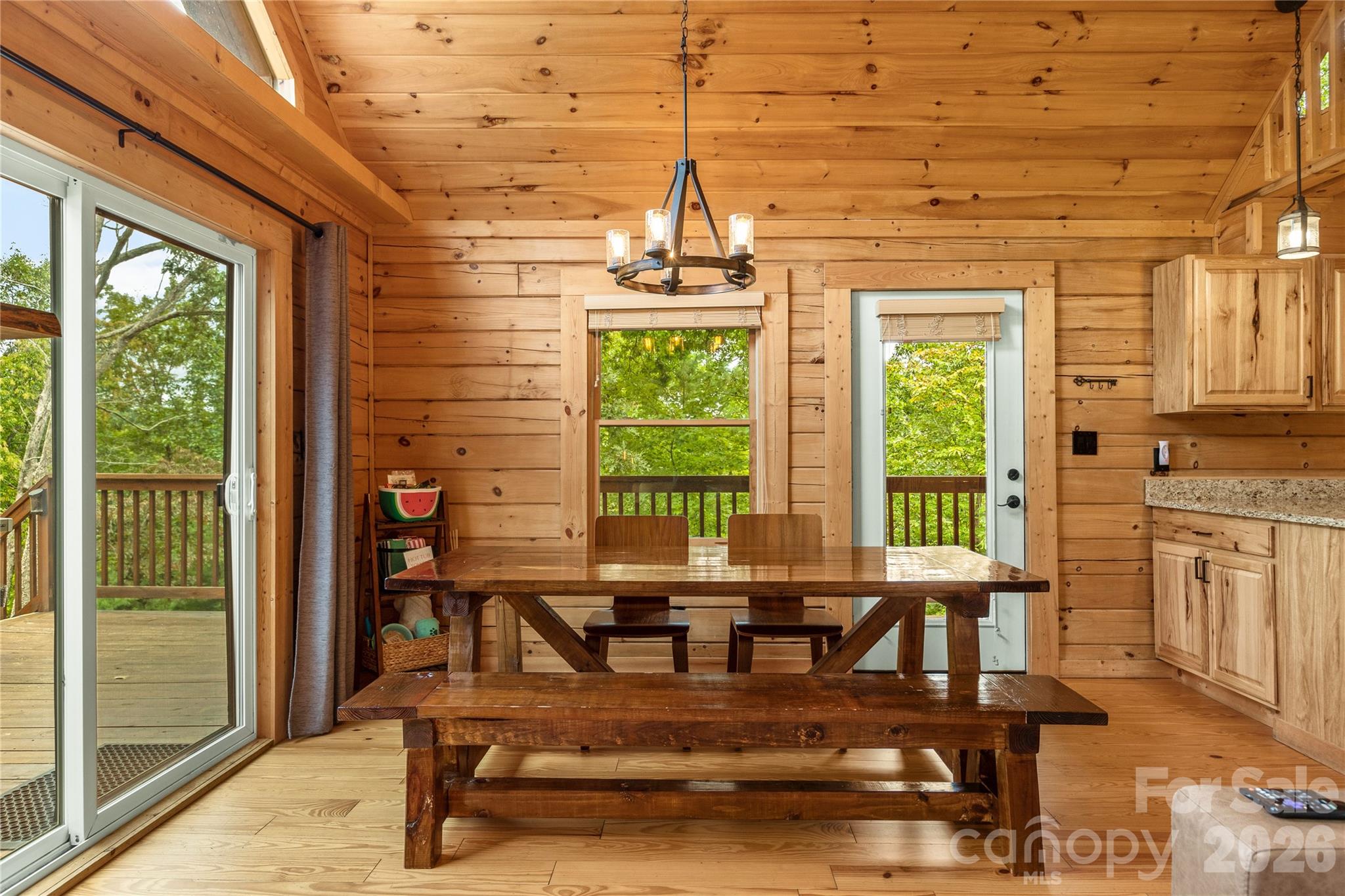 517 Luther Burbank Drive Lake Lure NC 28746
