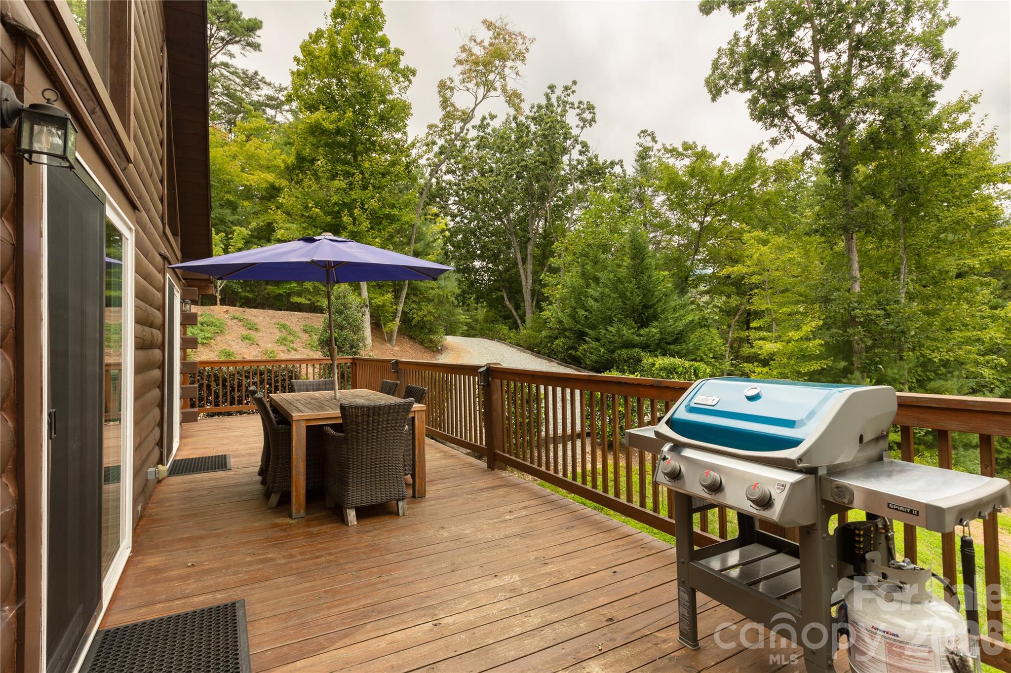 517 Luther Burbank Drive Lake Lure NC 28746