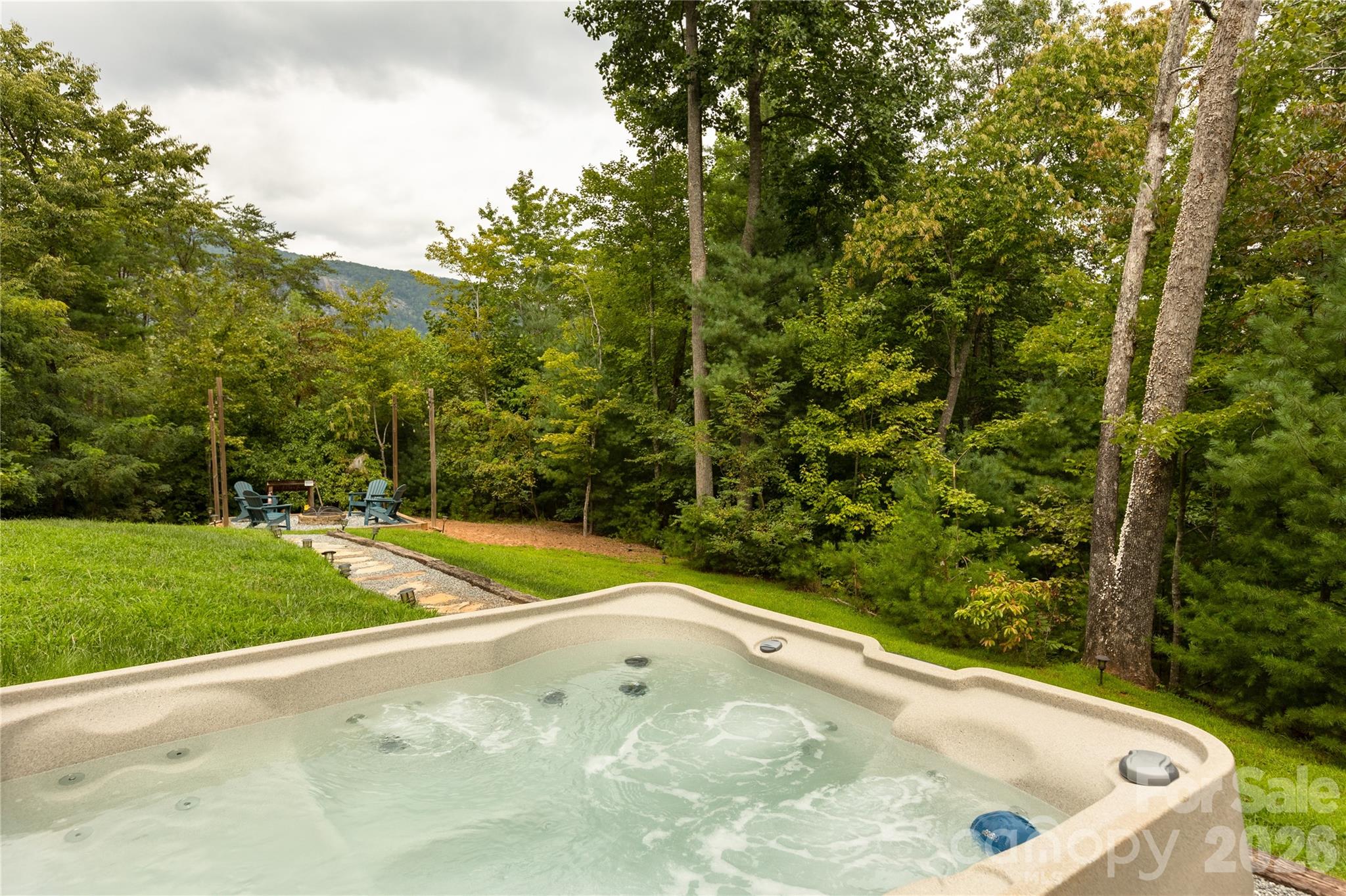 517 Luther Burbank Drive Lake Lure NC 28746