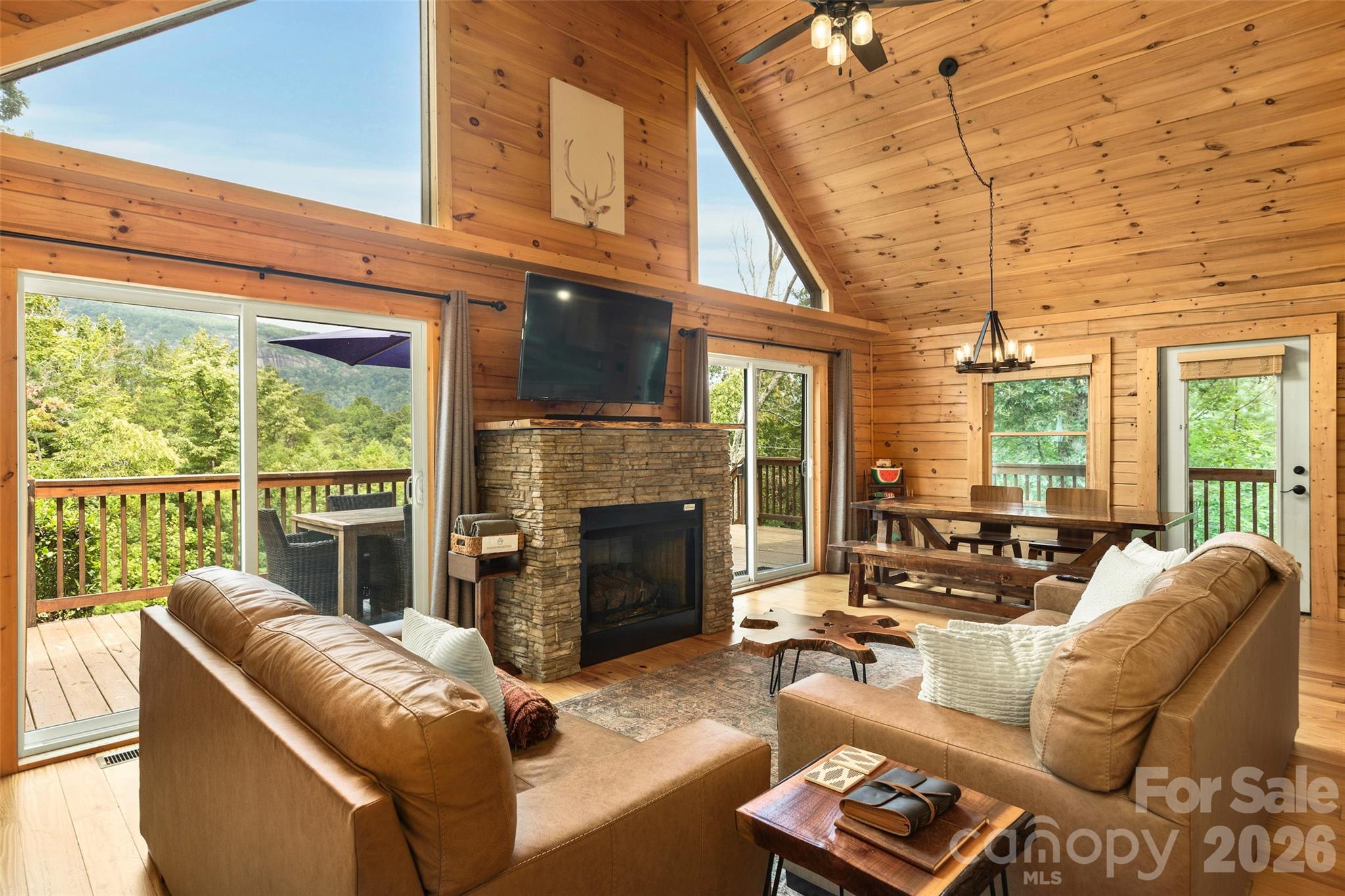 517 Luther Burbank Drive Lake Lure NC 28746