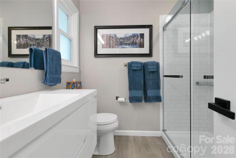 359 Rainbow Lake Drive Brevard NC 28712