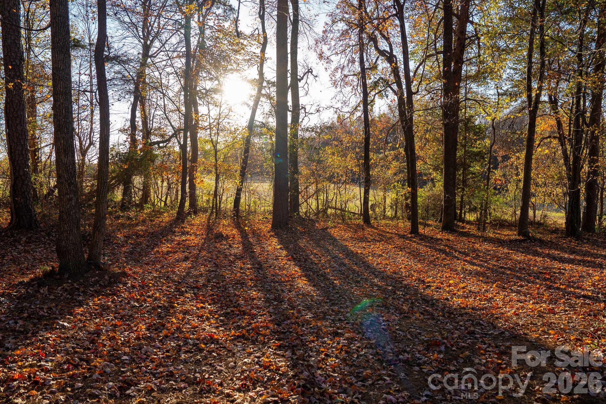 44585 Baldwin Road New London NC 28127