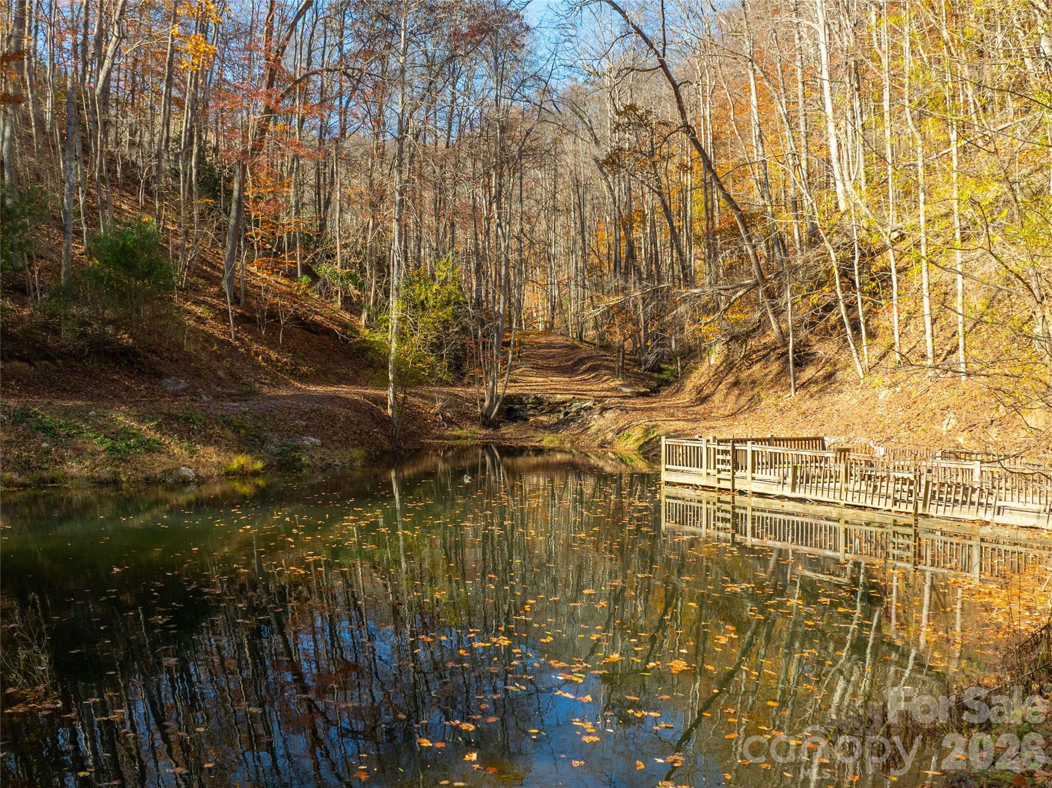 2736 White Oak Flats Road Green Mountain NC 28740