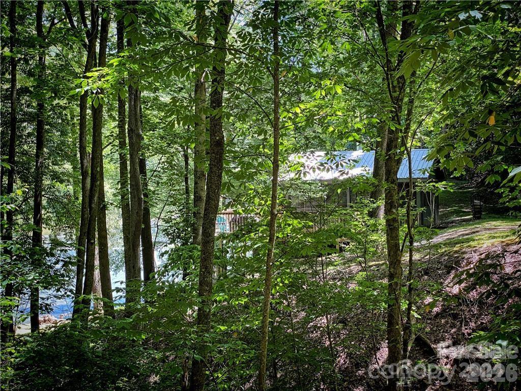 2736 White Oak Flats Road Green Mountain NC 28740