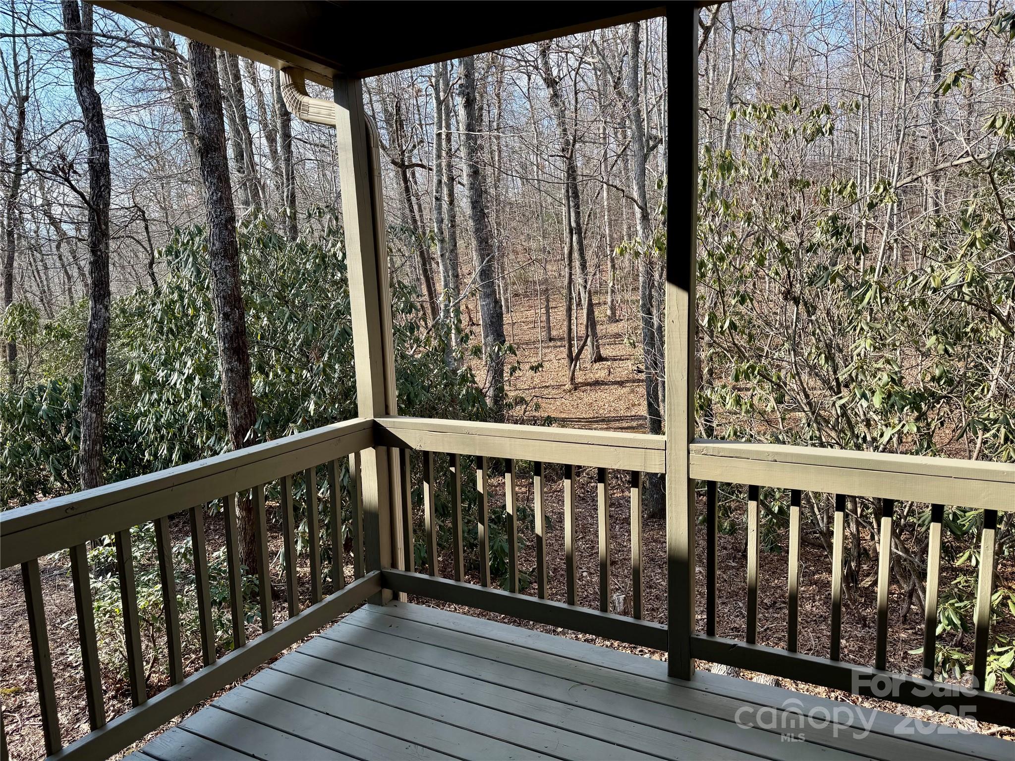 180 Dalton Lane Black Mountain NC 28711