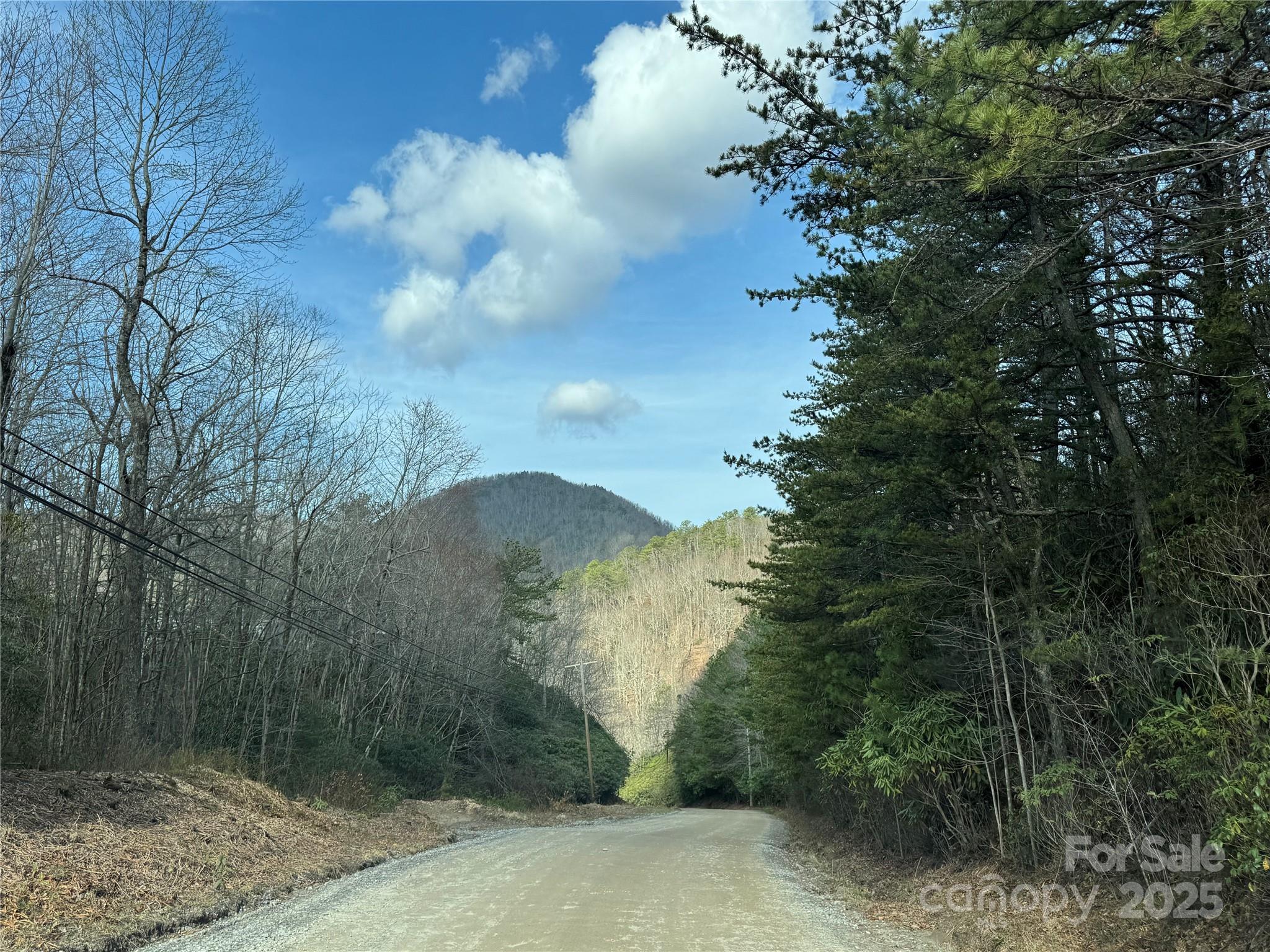 180 Dalton Lane Black Mountain NC 28711