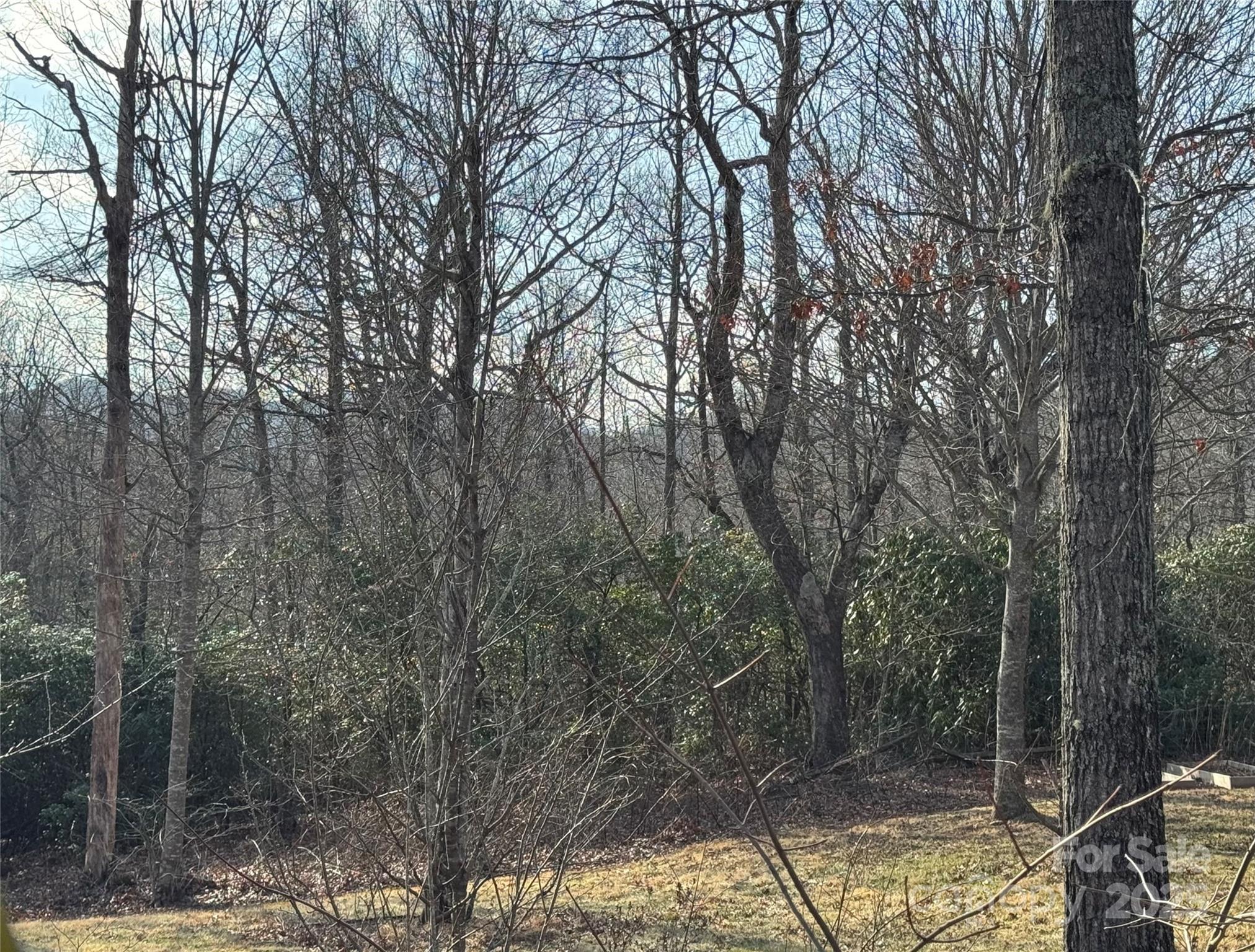 180 Dalton Lane Black Mountain NC 28711