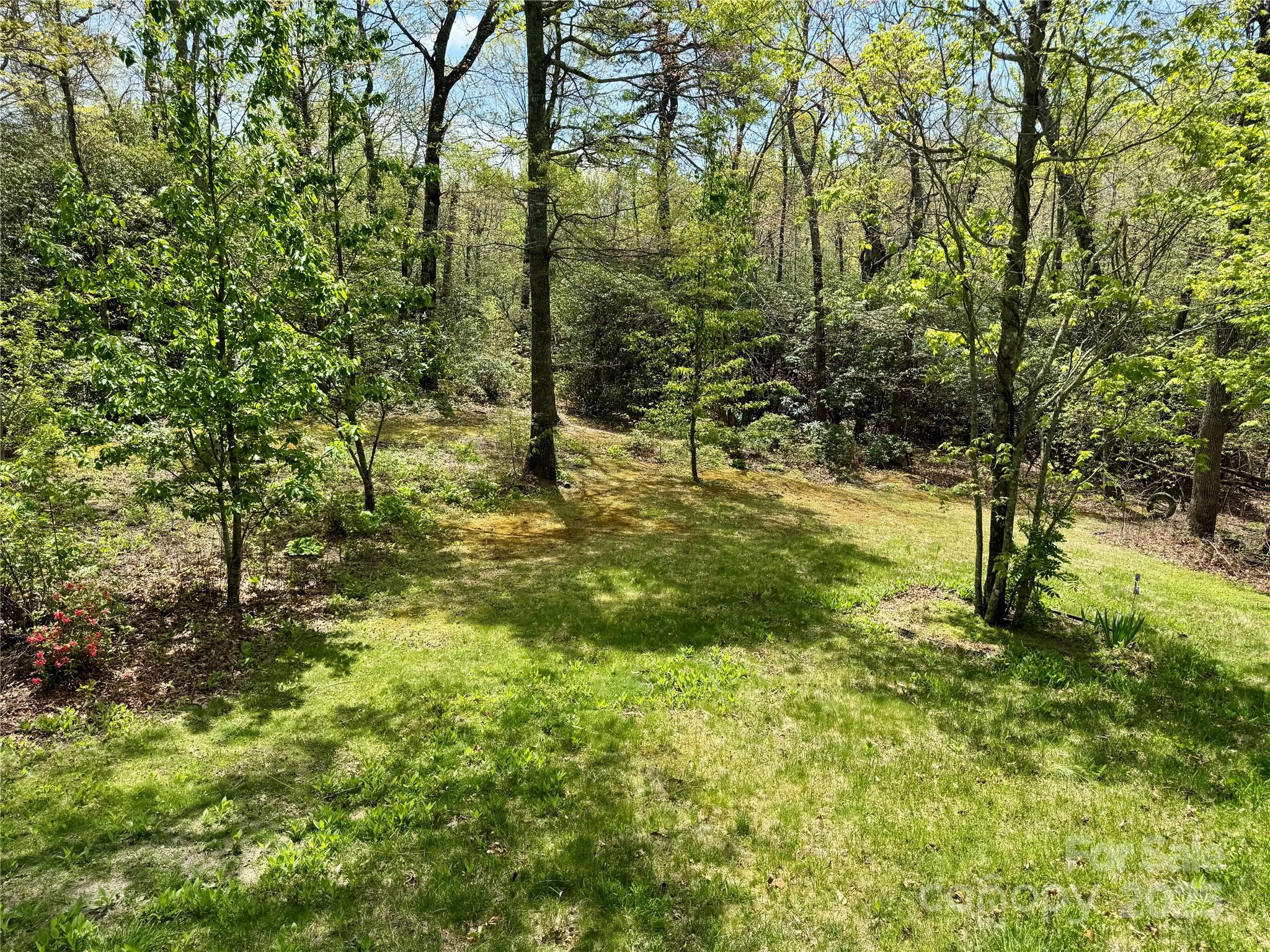 180 Dalton Lane Black Mountain NC 28711