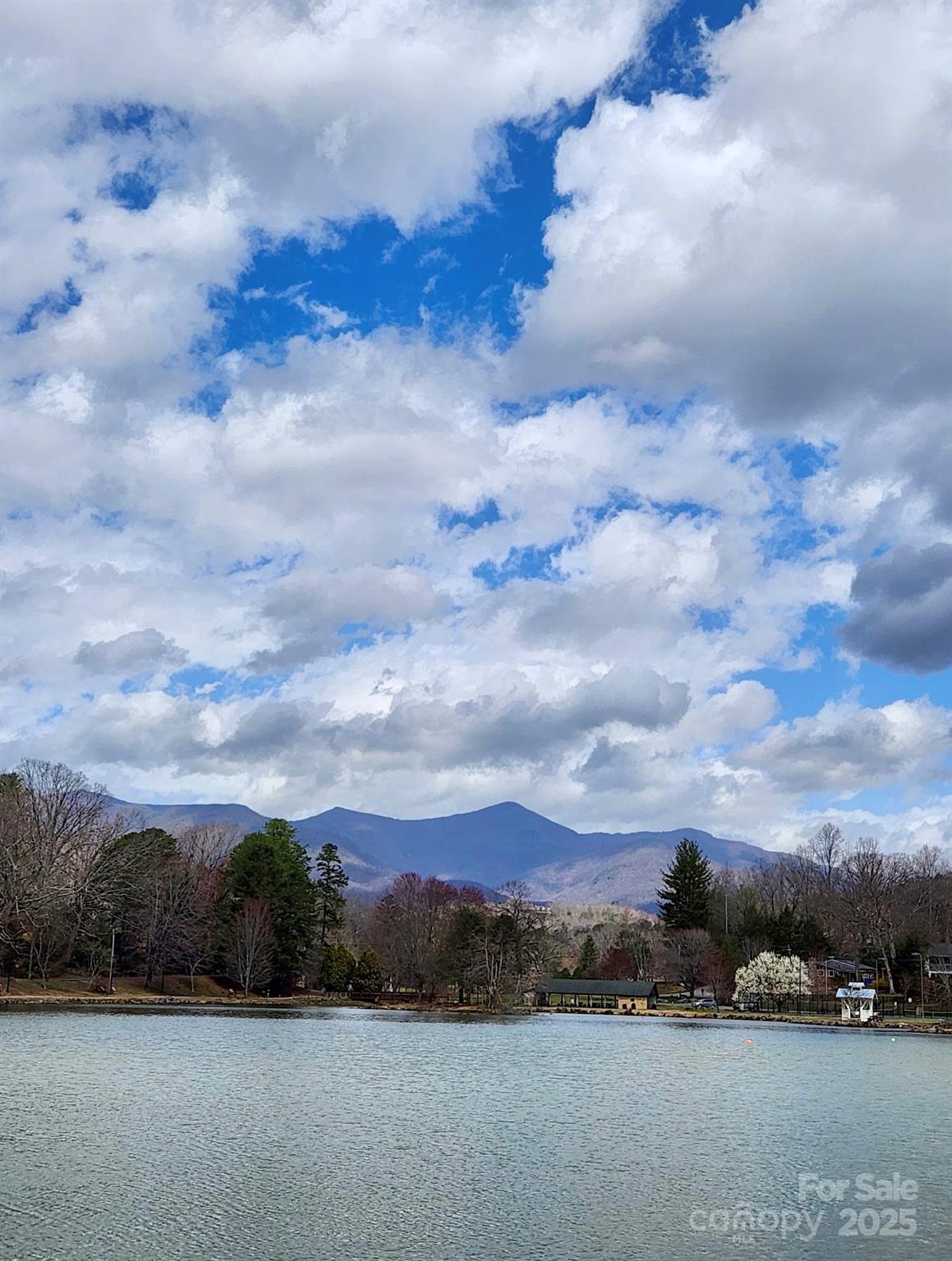 180 Dalton Lane Black Mountain NC 28711