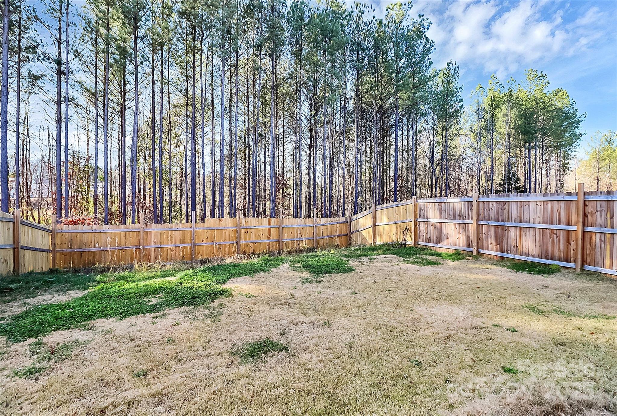 5209 Wolfridge Avenue Charlotte NC 28214