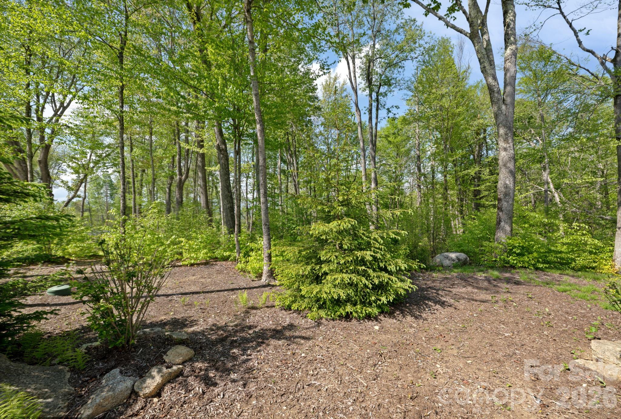 576 Eagle Springs Trail Banner Elk NC 28604