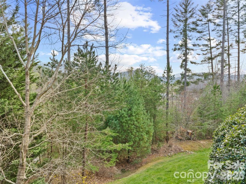 22 S Kaufman Stone Way Biltmore Lake NC 28715