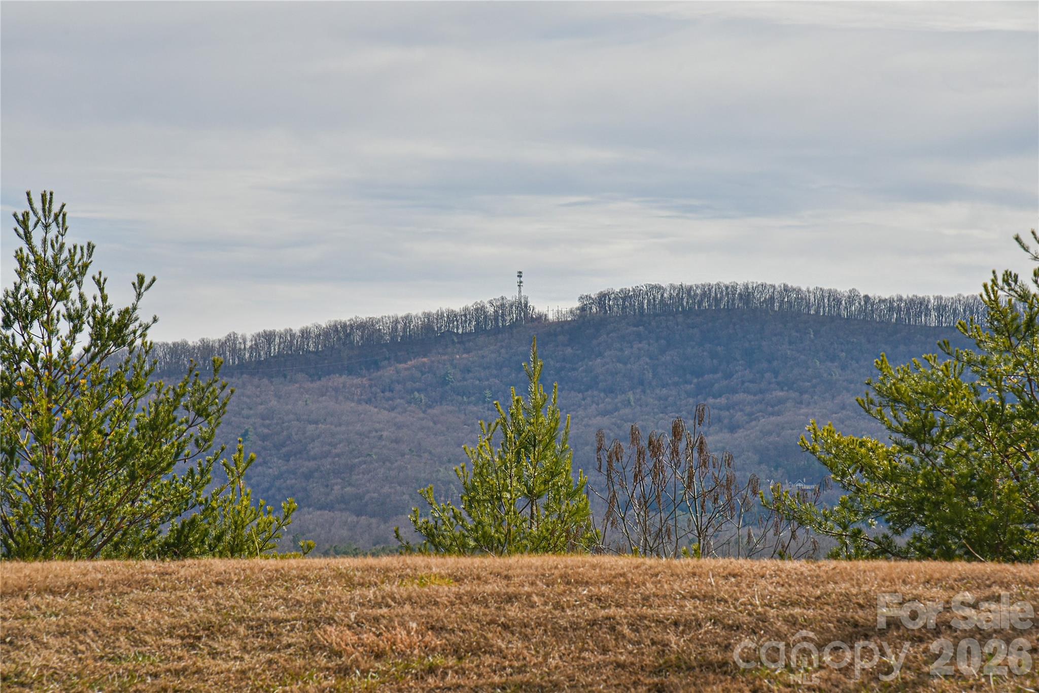4 Heather Way Candler NC 28715