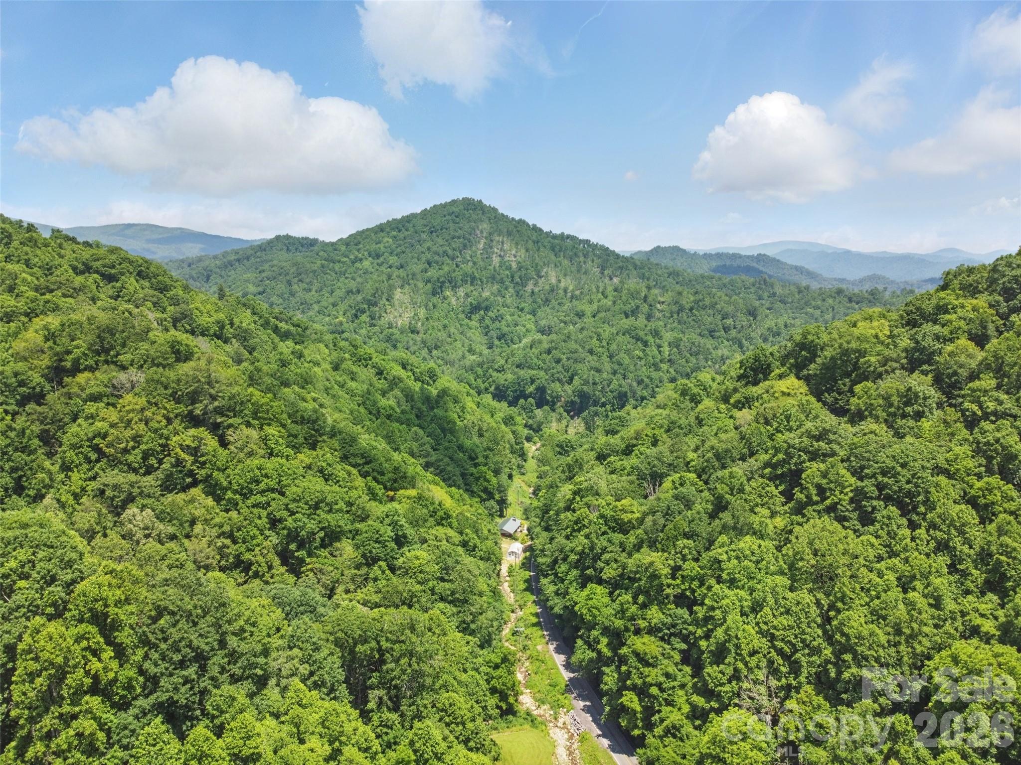 3829 Coxes Creek Road Burnsville NC 28714