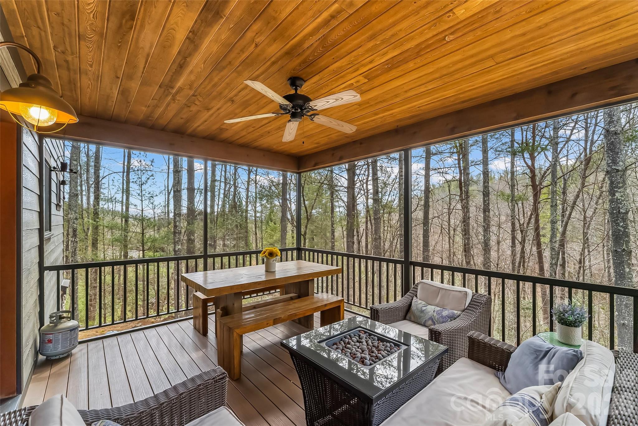 4064 Dense Acre Trail Nebo NC 28761