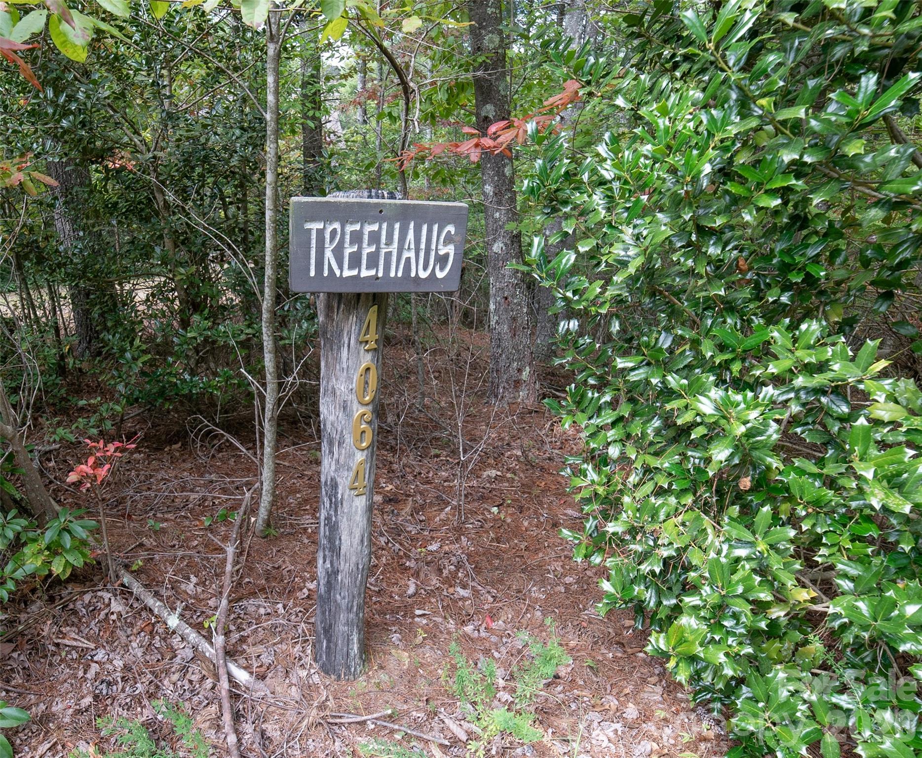 4064 Dense Acre Trail Nebo NC 28761