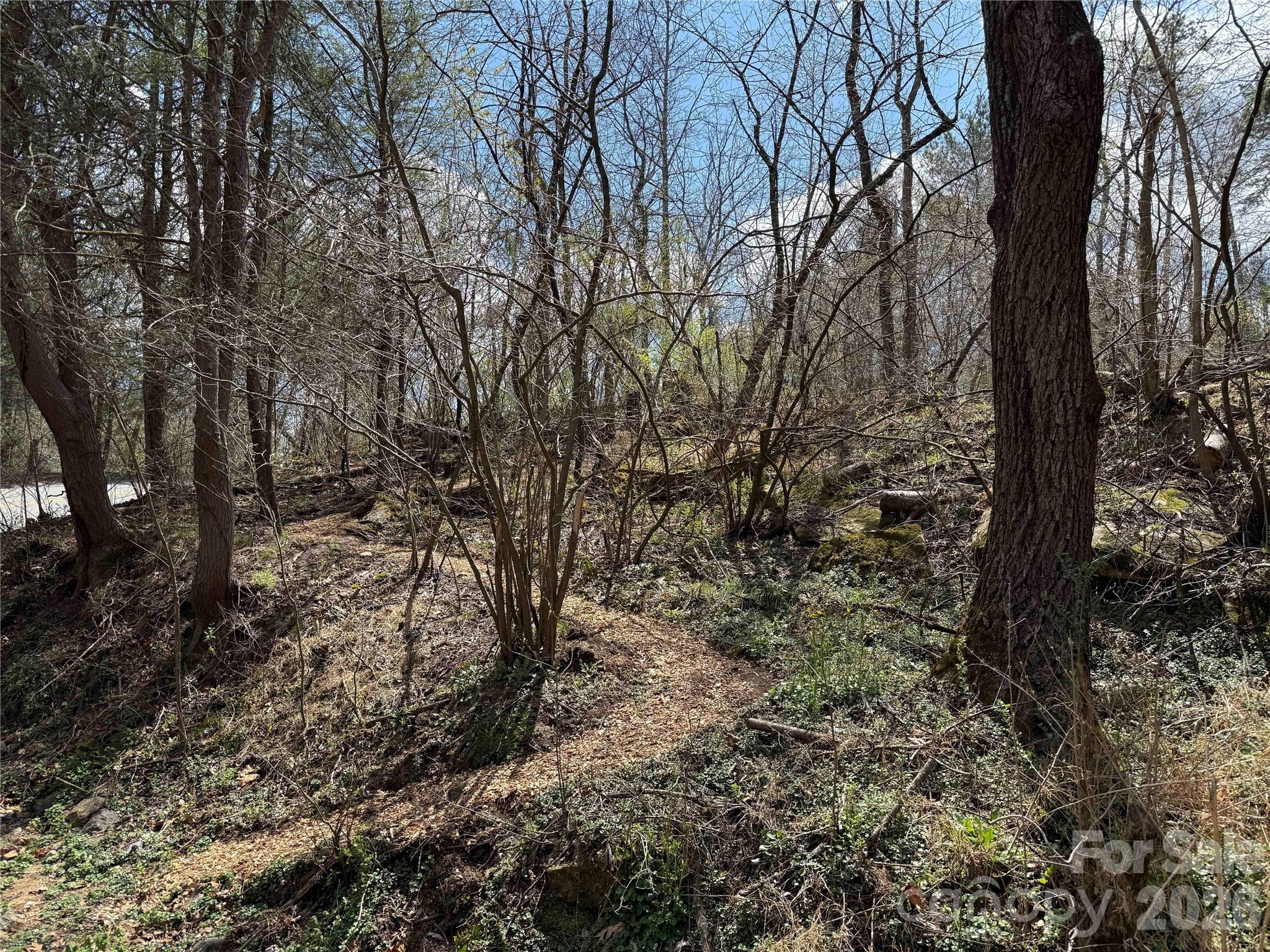 4 Zachary Ridge Road Asheville NC 28804