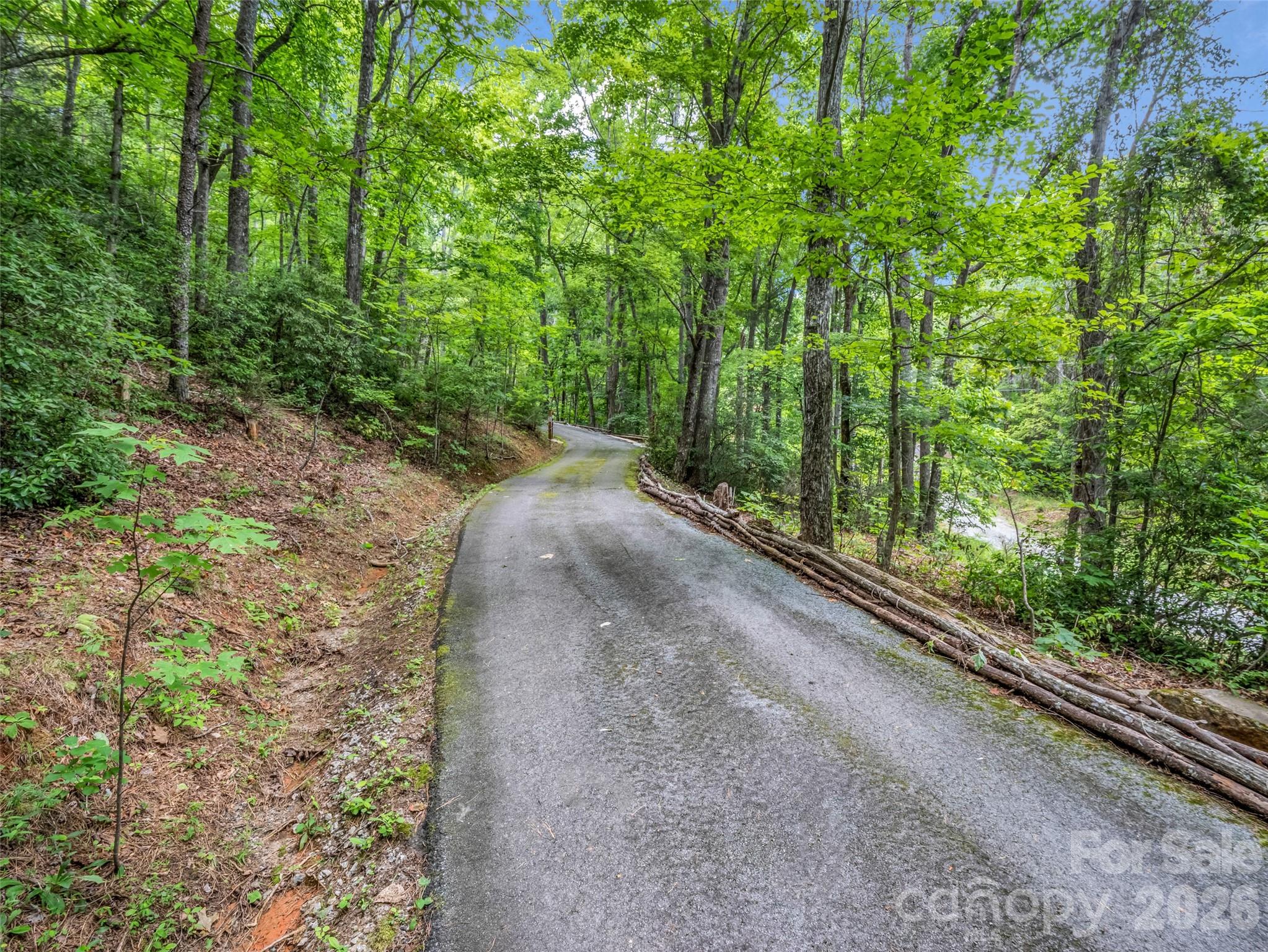 479 Camp Hill Road Mill Spring NC 28756
