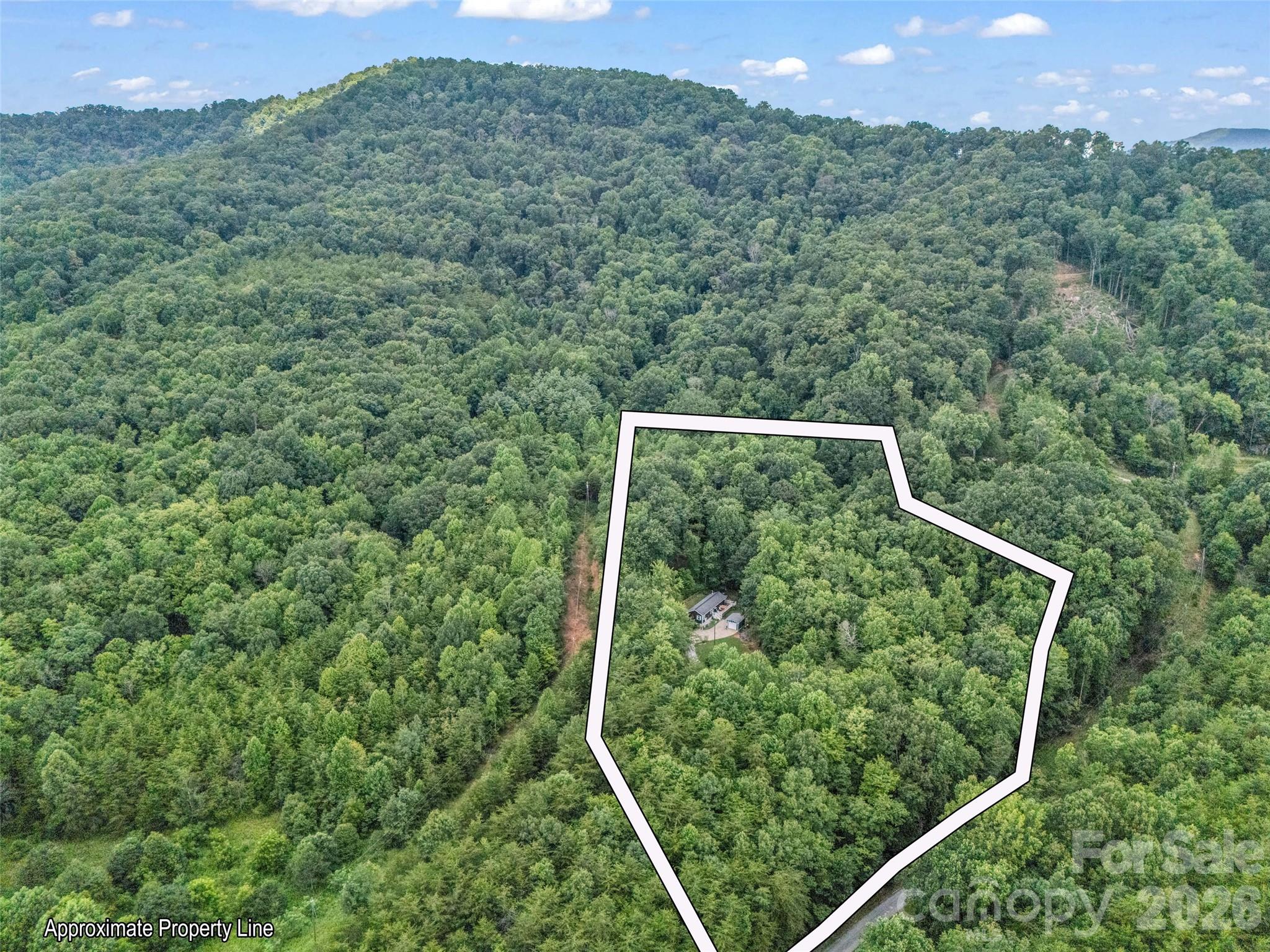 479 Camp Hill Road Mill Spring NC 28756