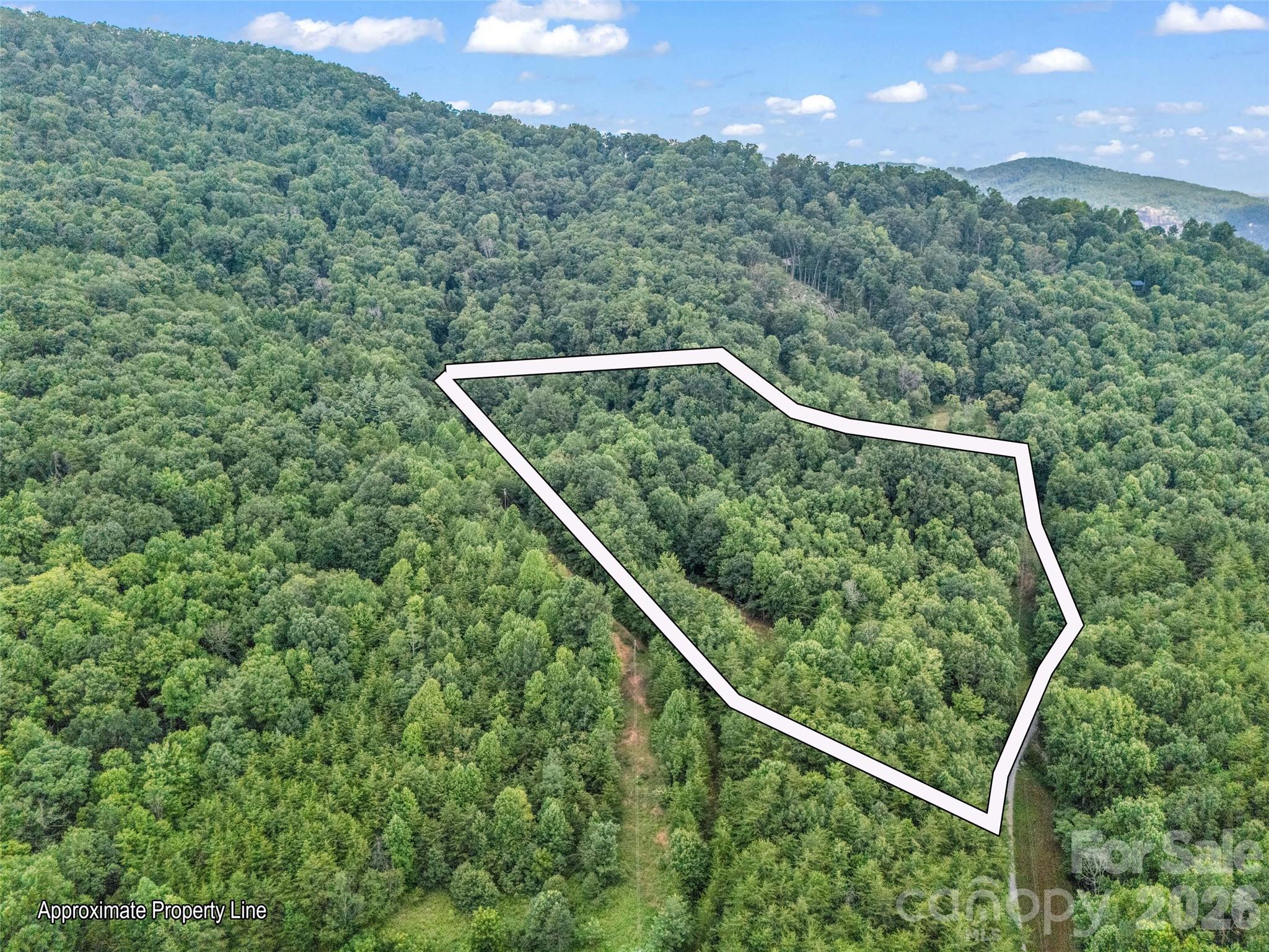 479 Camp Hill Road Mill Spring NC 28756