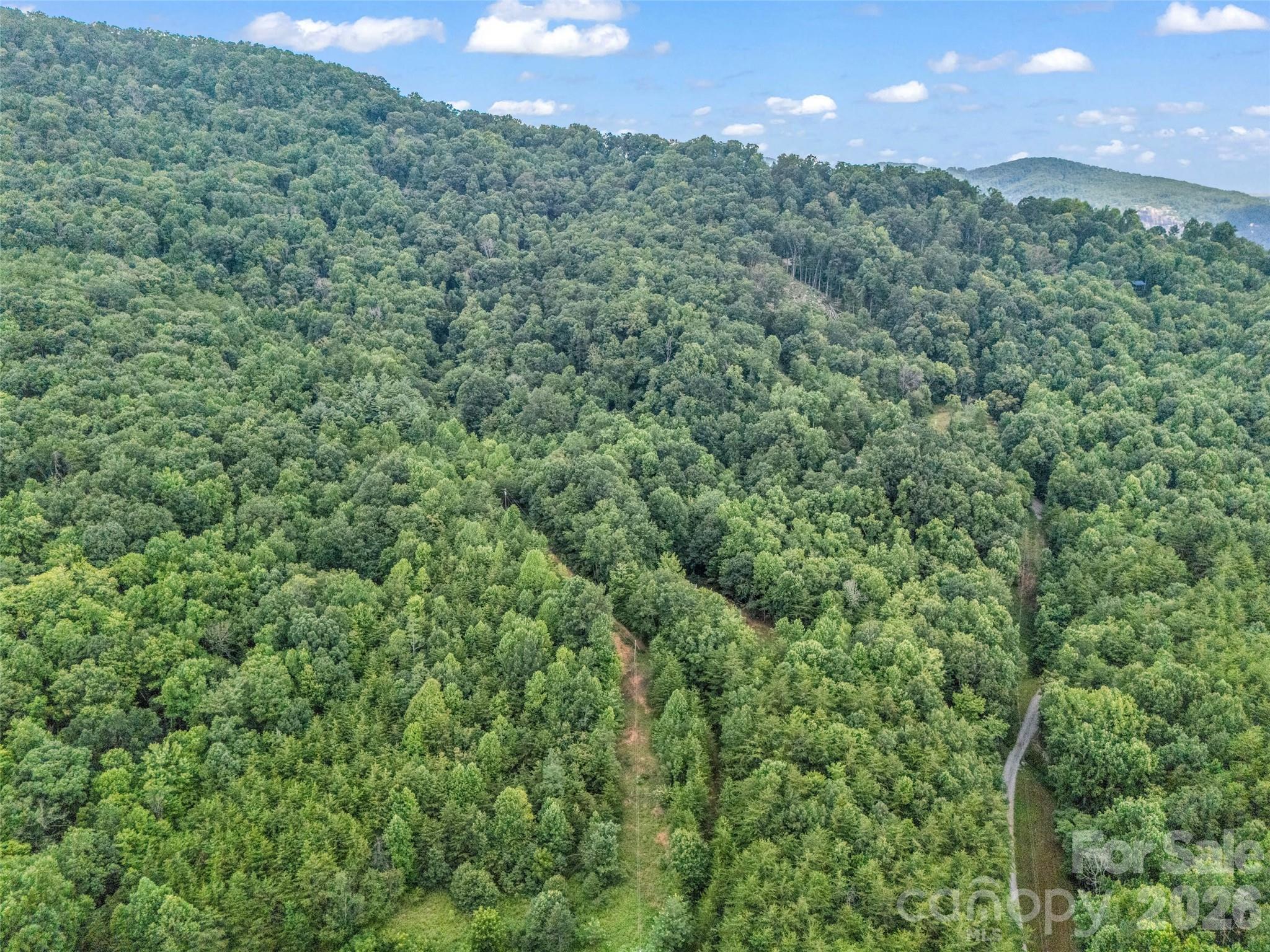 479 Camp Hill Road Mill Spring NC 28756