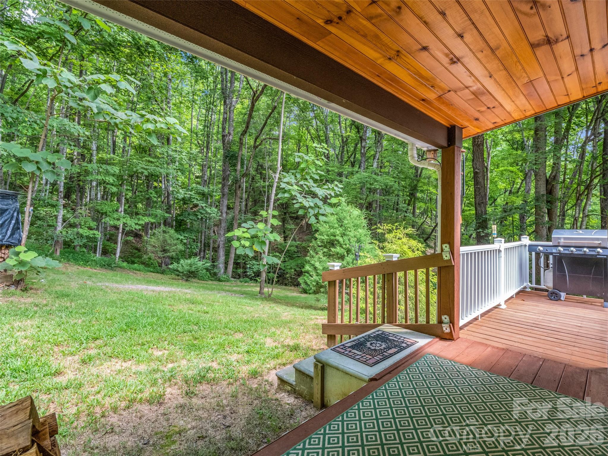 479 Camp Hill Road Mill Spring NC 28756