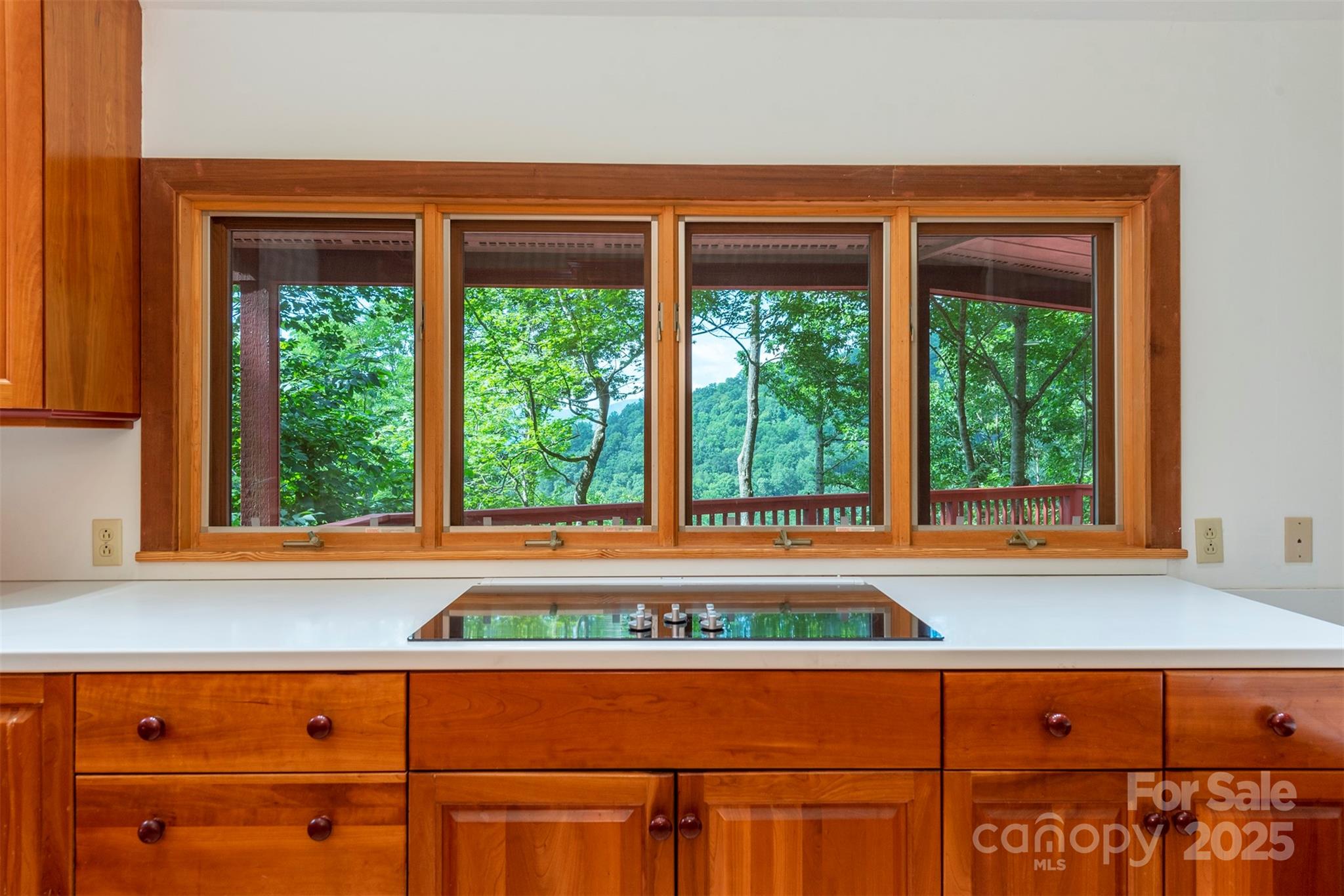 7 Winding Poplar Road Black Mountain NC 28711