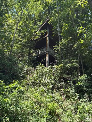 7 Winding Poplar Road Black Mountain NC 28711