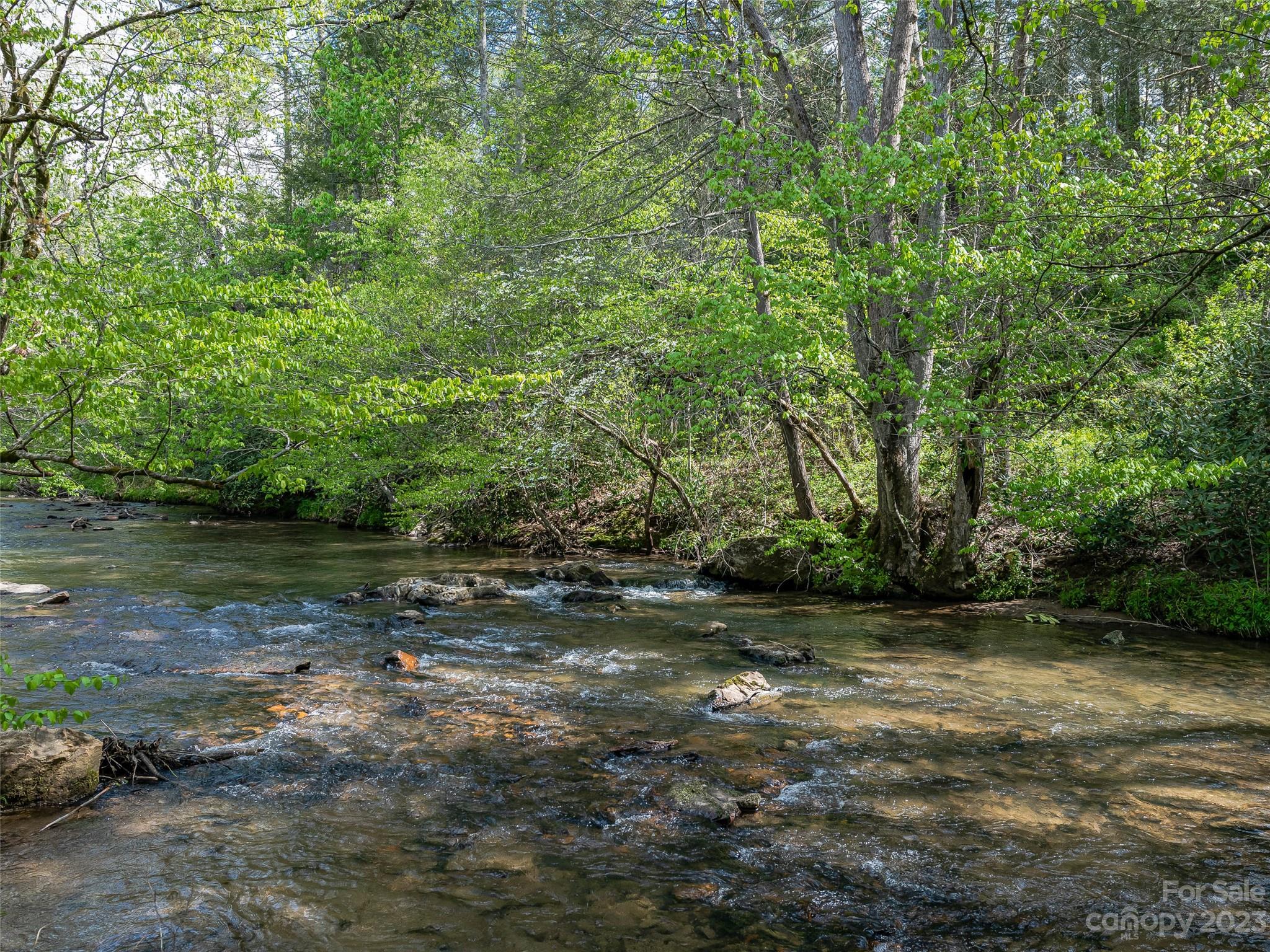 65 Creekside View Drive Asheville NC 28804