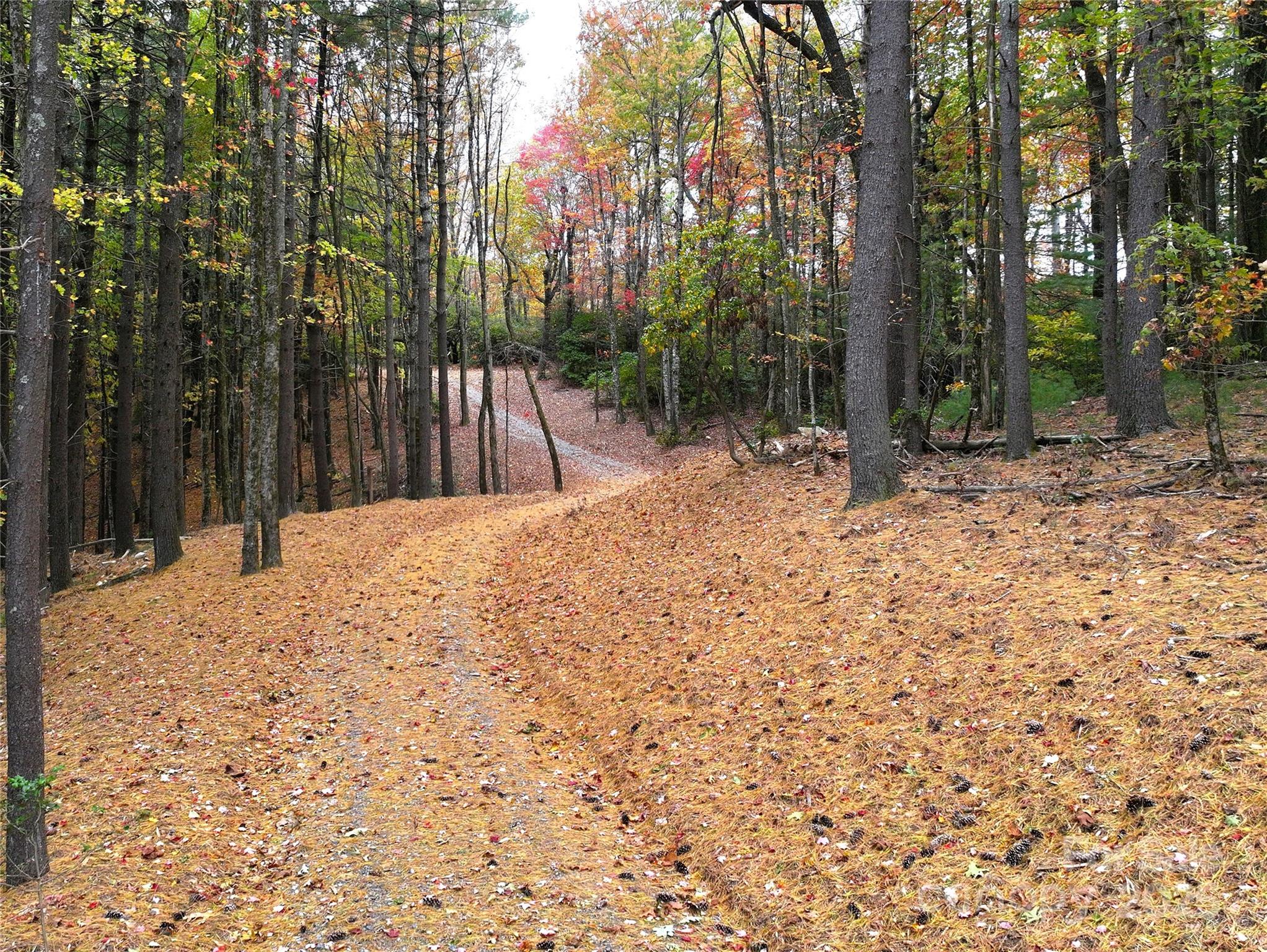 243 Ridgeline Drive Brevard NC 28712