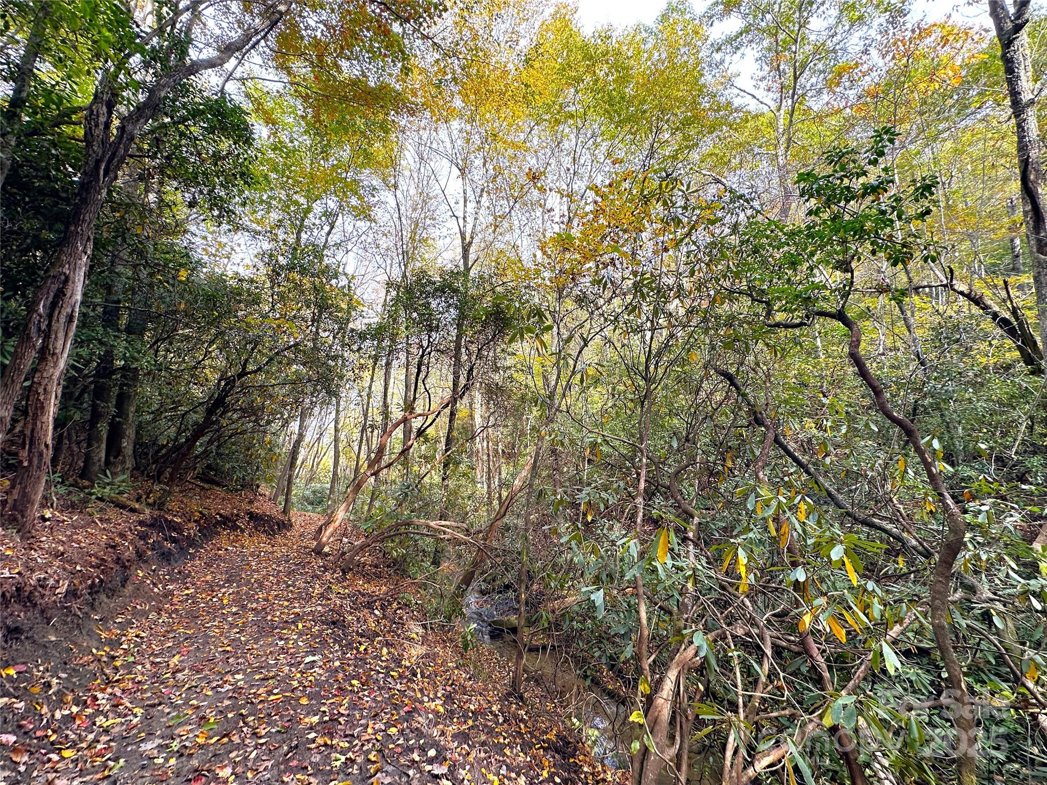 243 Ridgeline Drive Brevard NC 28712