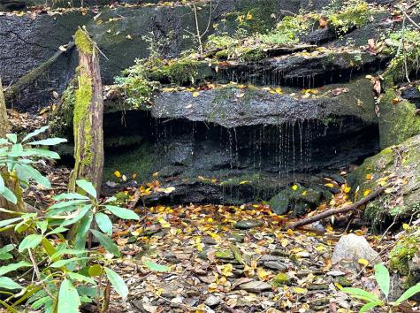 243 Ridgeline Drive Brevard NC 28712