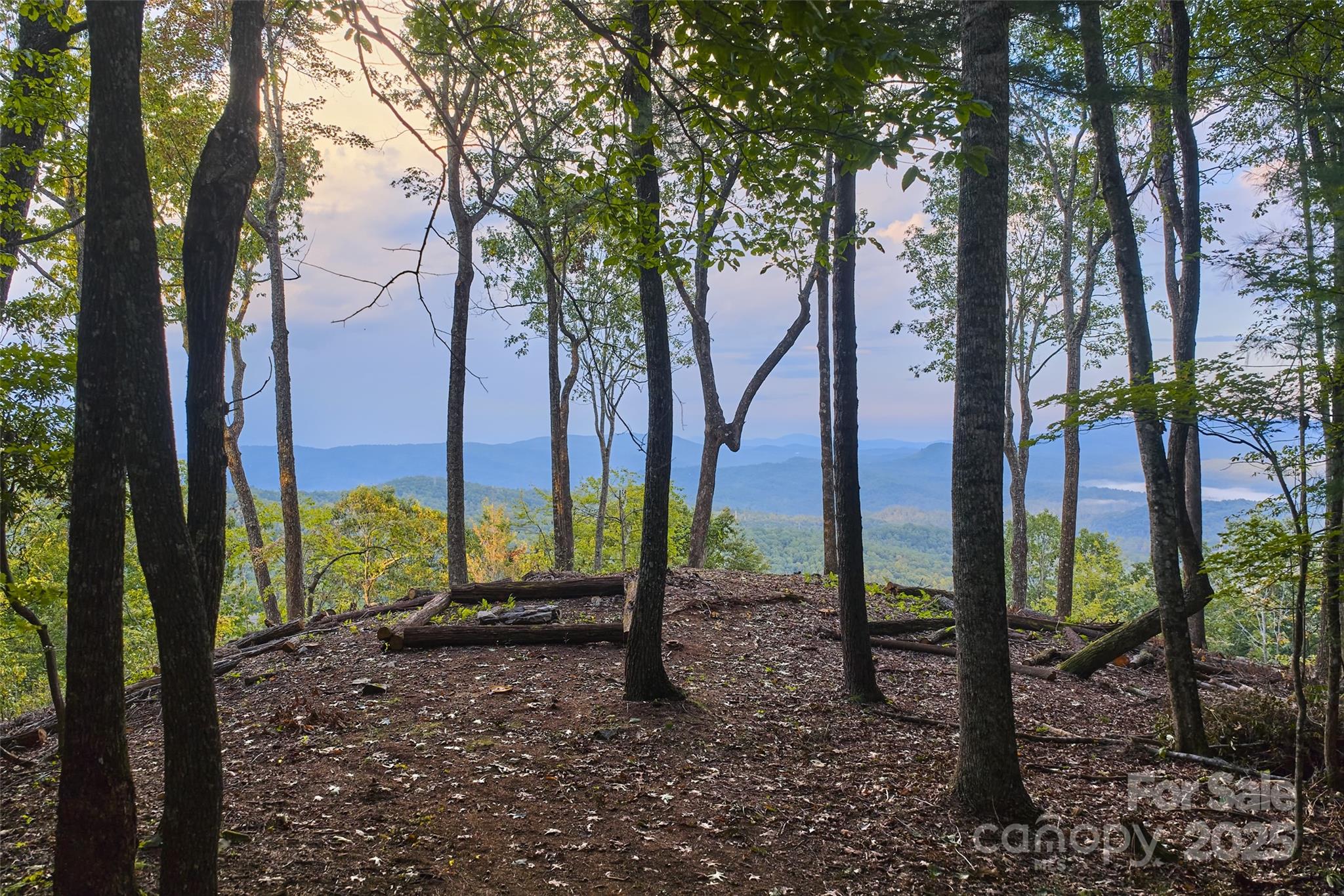 243 Ridgeline Drive Brevard NC 28712