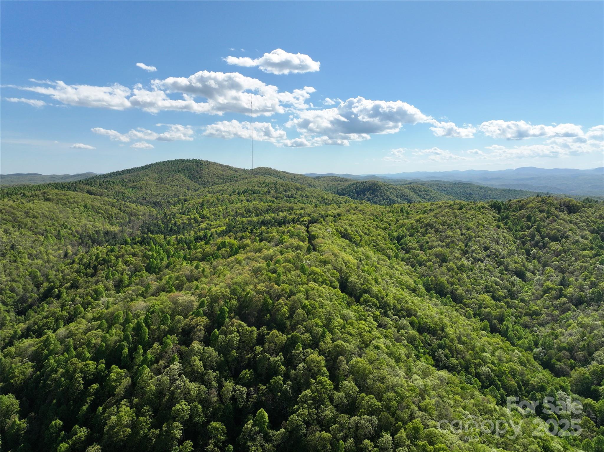 243 Ridgeline Drive Brevard NC 28712