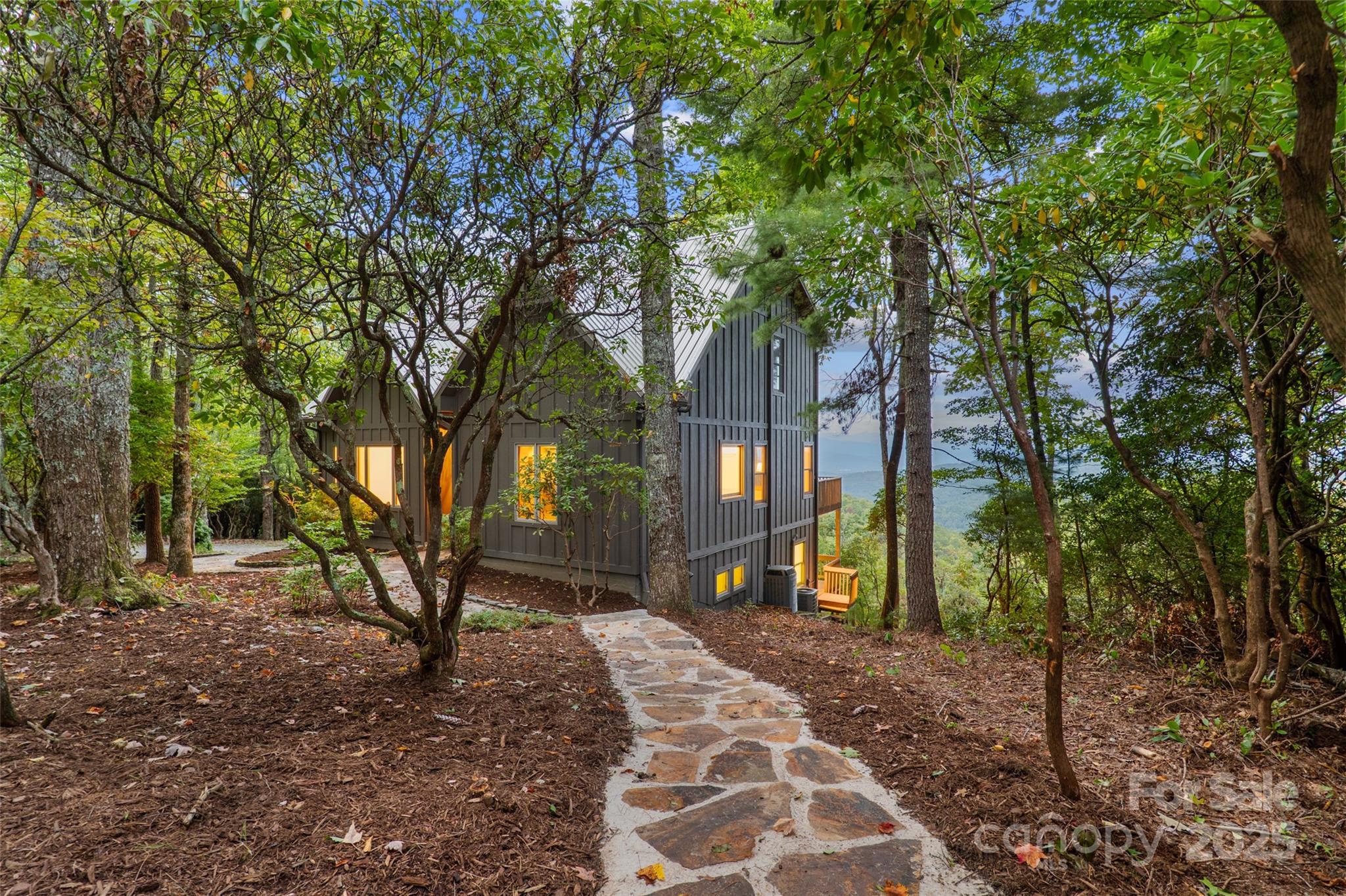 243 Ridgeline Drive Brevard NC 28712