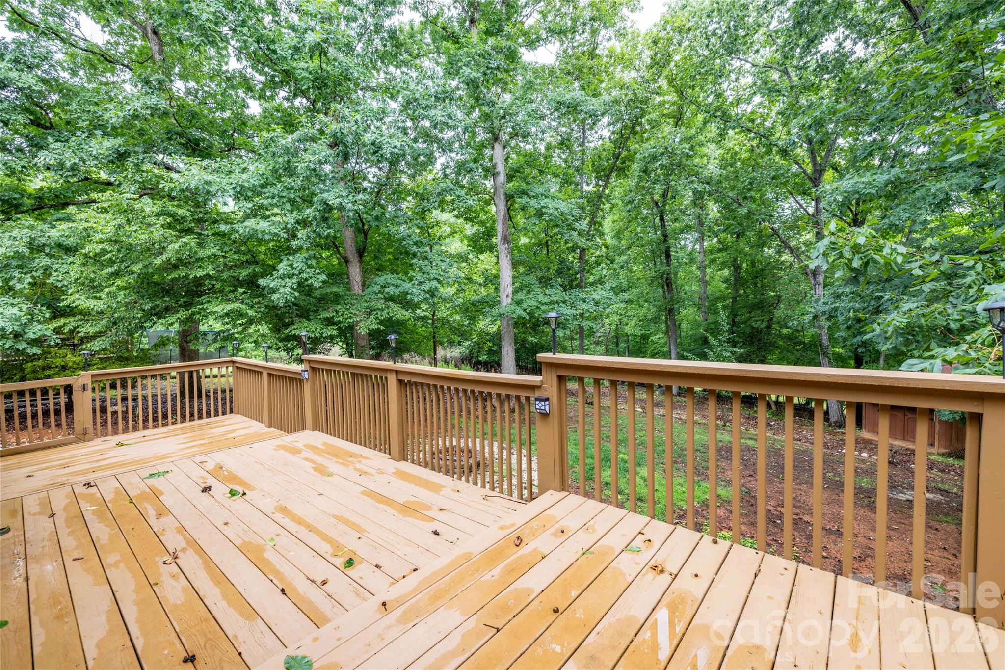 302 Skyland Court Mount Gilead NC 27306